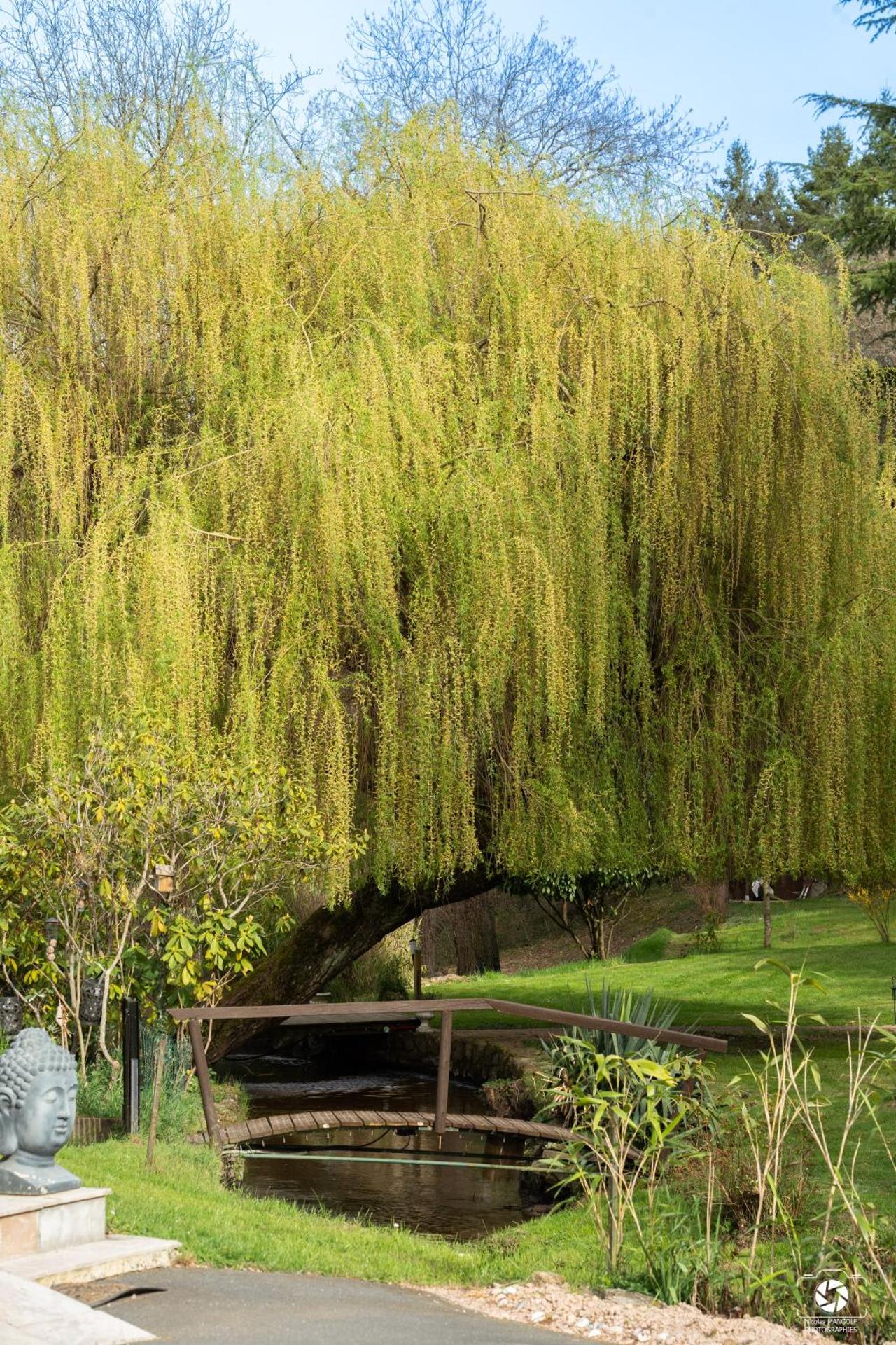 Le moulin de la Vernoelle