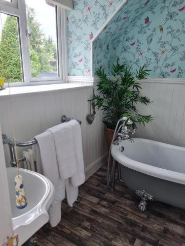 Eagle View Guest House