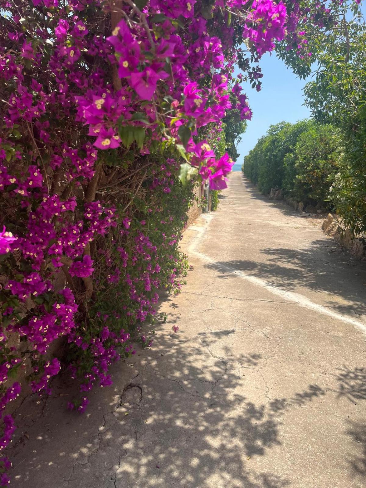 Casa rural frente al mar La Toscana