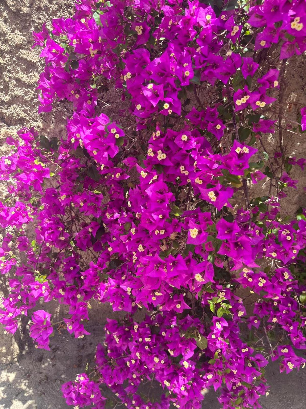 Casa rural frente al mar La Toscana