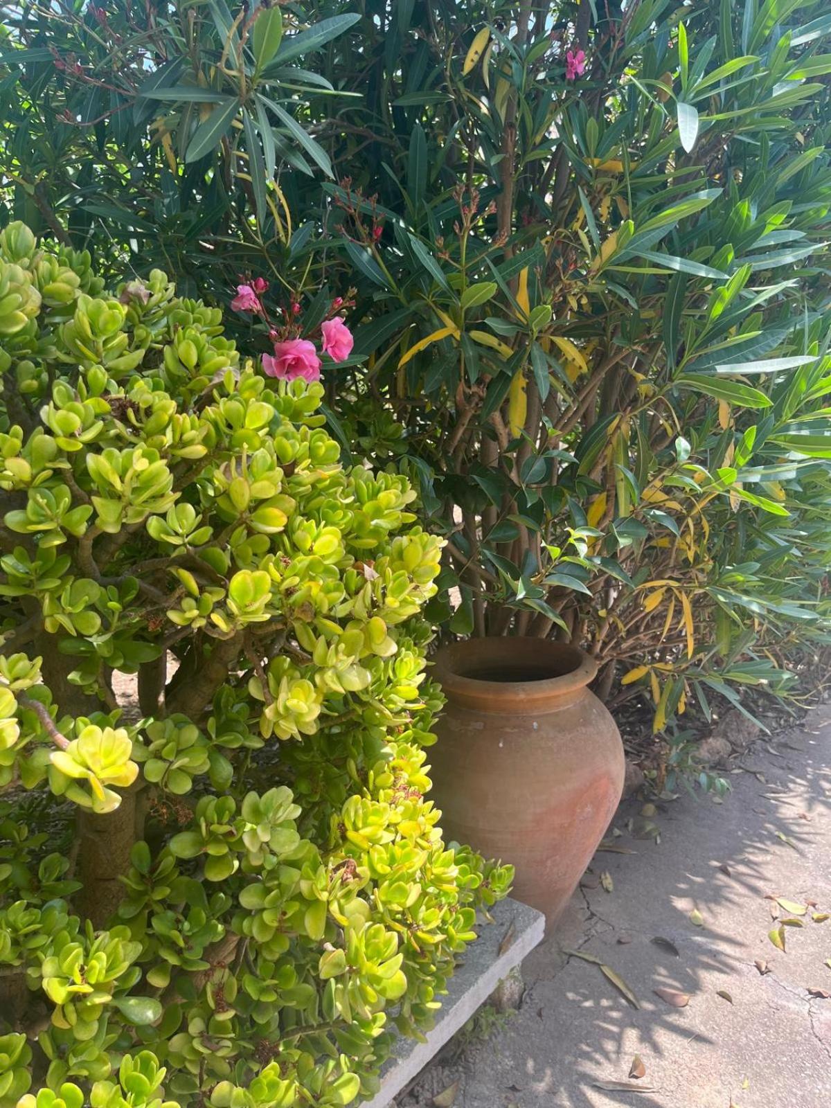 Casa rural frente al mar La Toscana