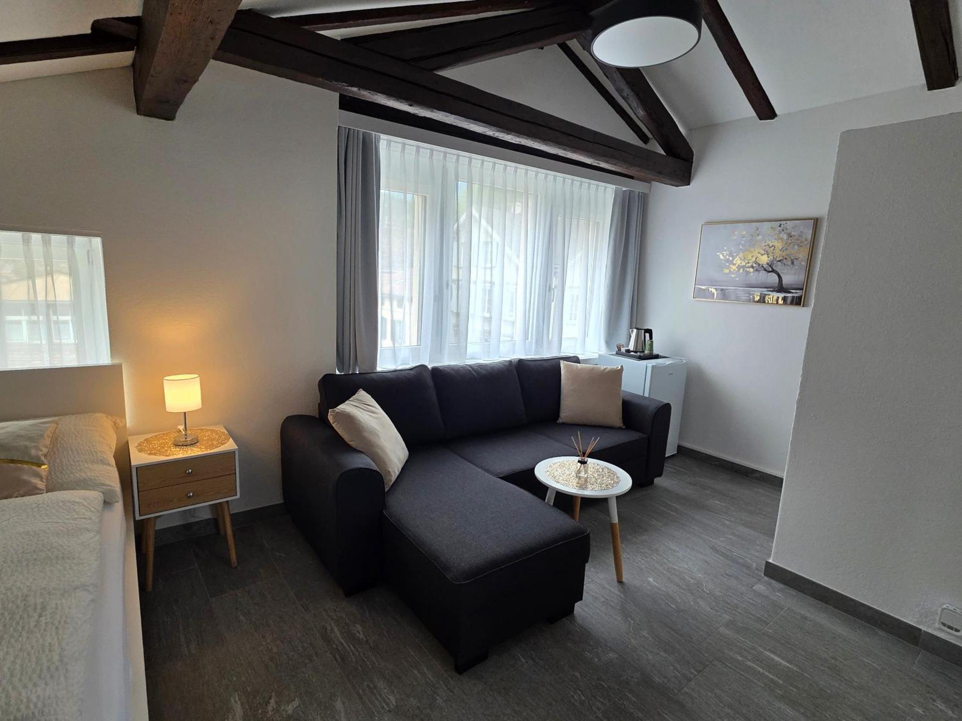 Studio with Mountain View