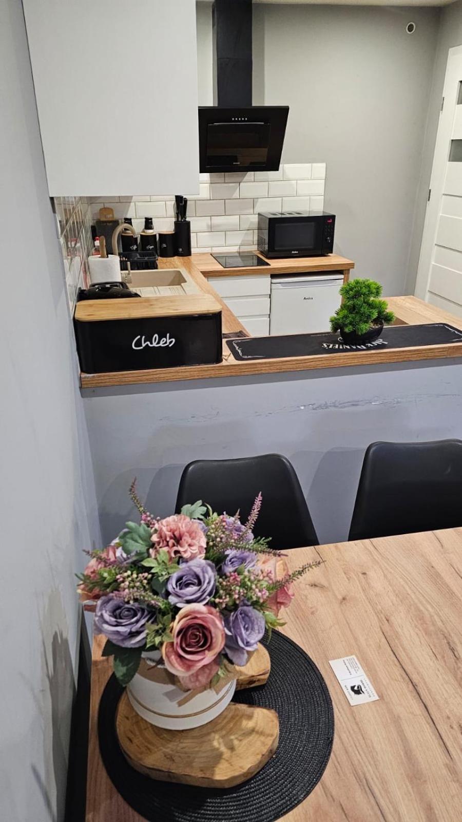 Czarny Koń i Biały Koń Black Horse & White Horse Apartamenty