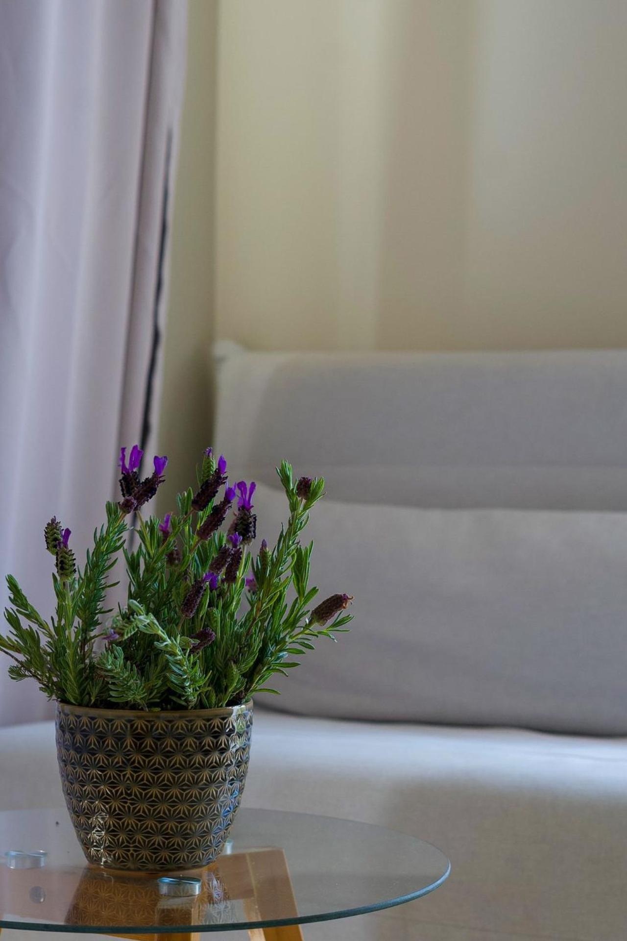 Double Room with Pool View