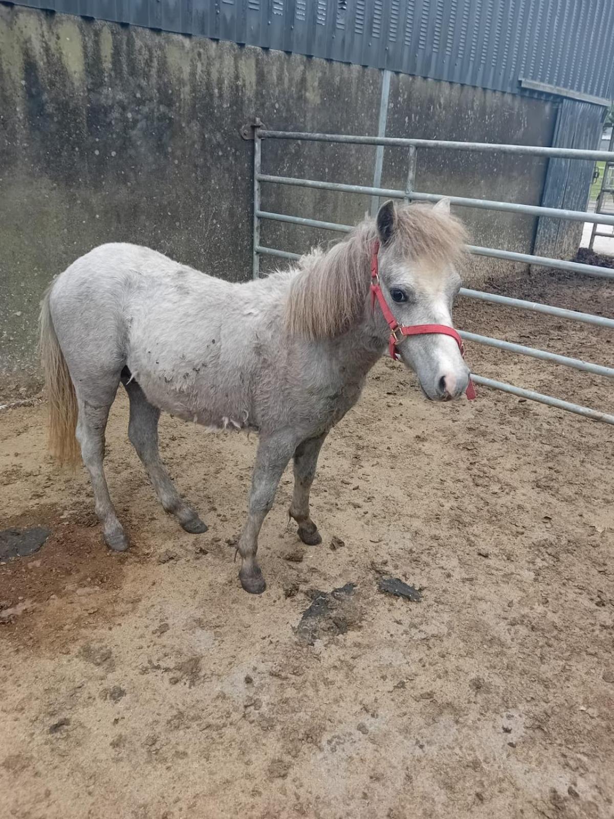 Katy Kellys Countryside Self Catering Cottage