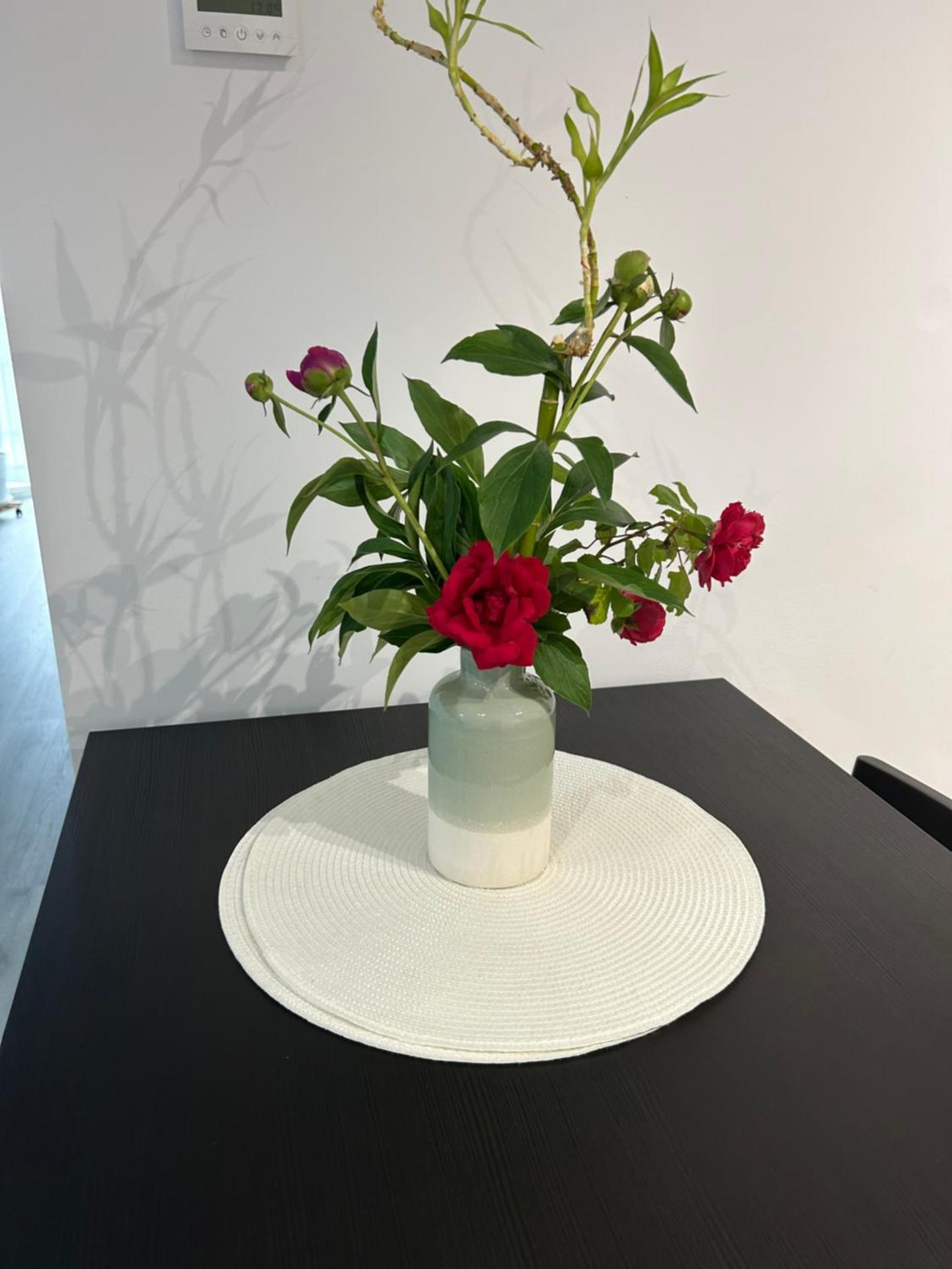 Ady s vision luxury apartment