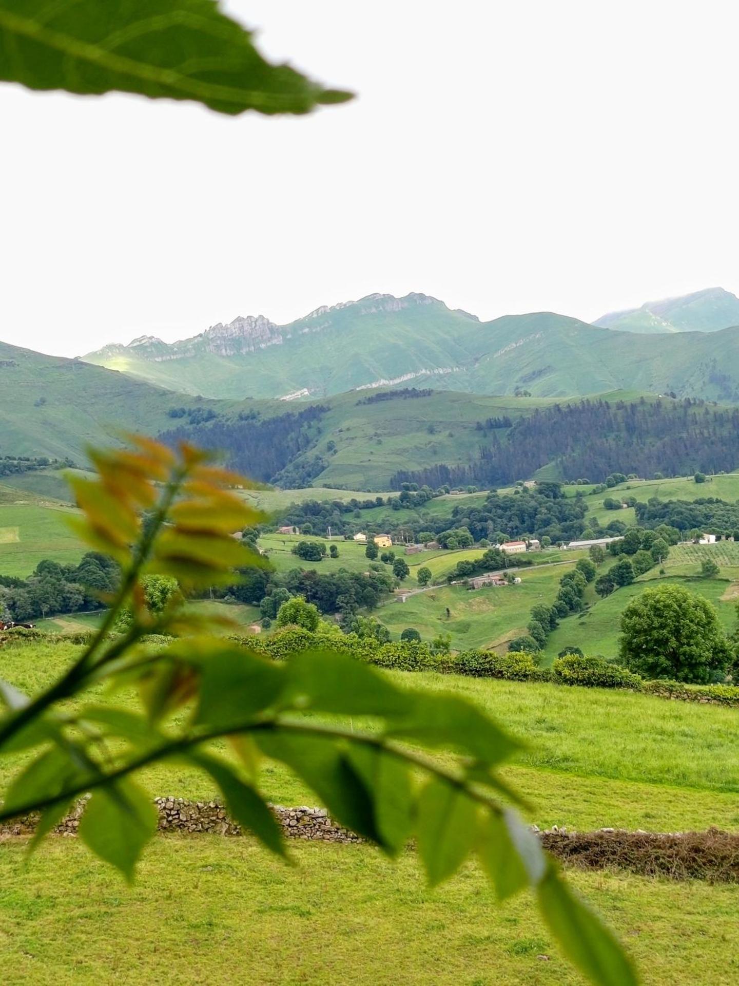 Cabaña Pasiega Única