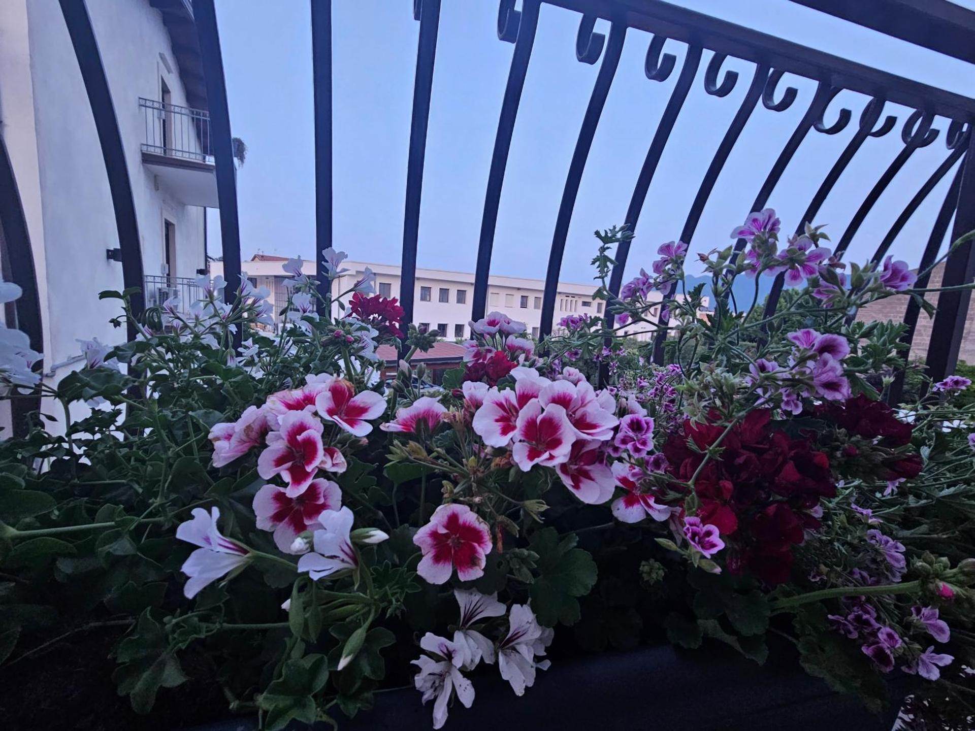 Vanvitelli's Guest House -Affittacamere