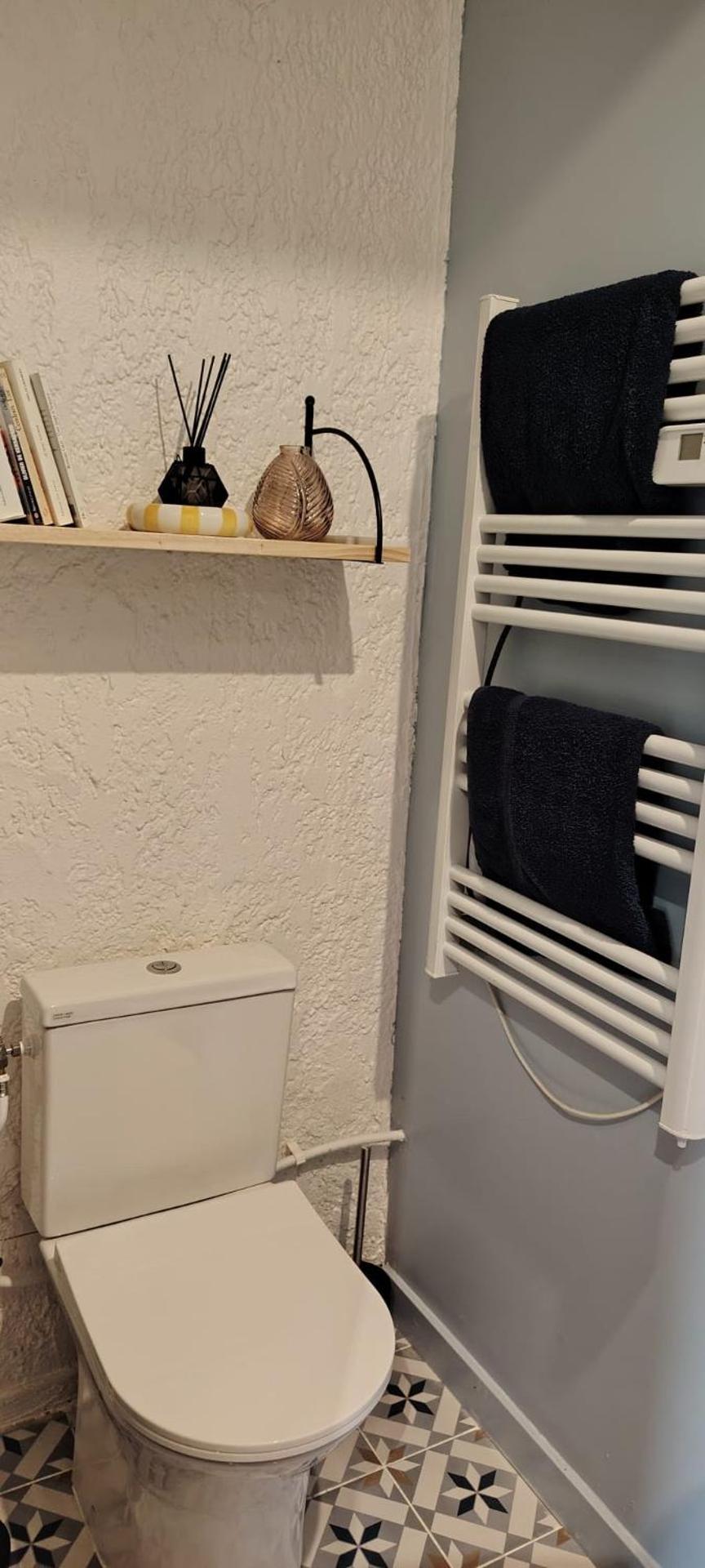 Timounyan T1 N24 centre ville Animaux acceptés