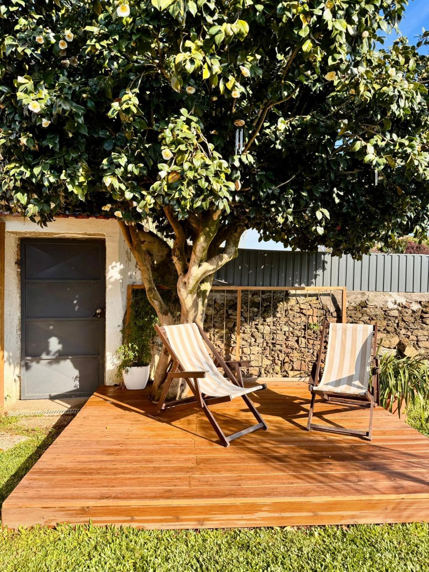 Casa de Campo - Country House - Esposende