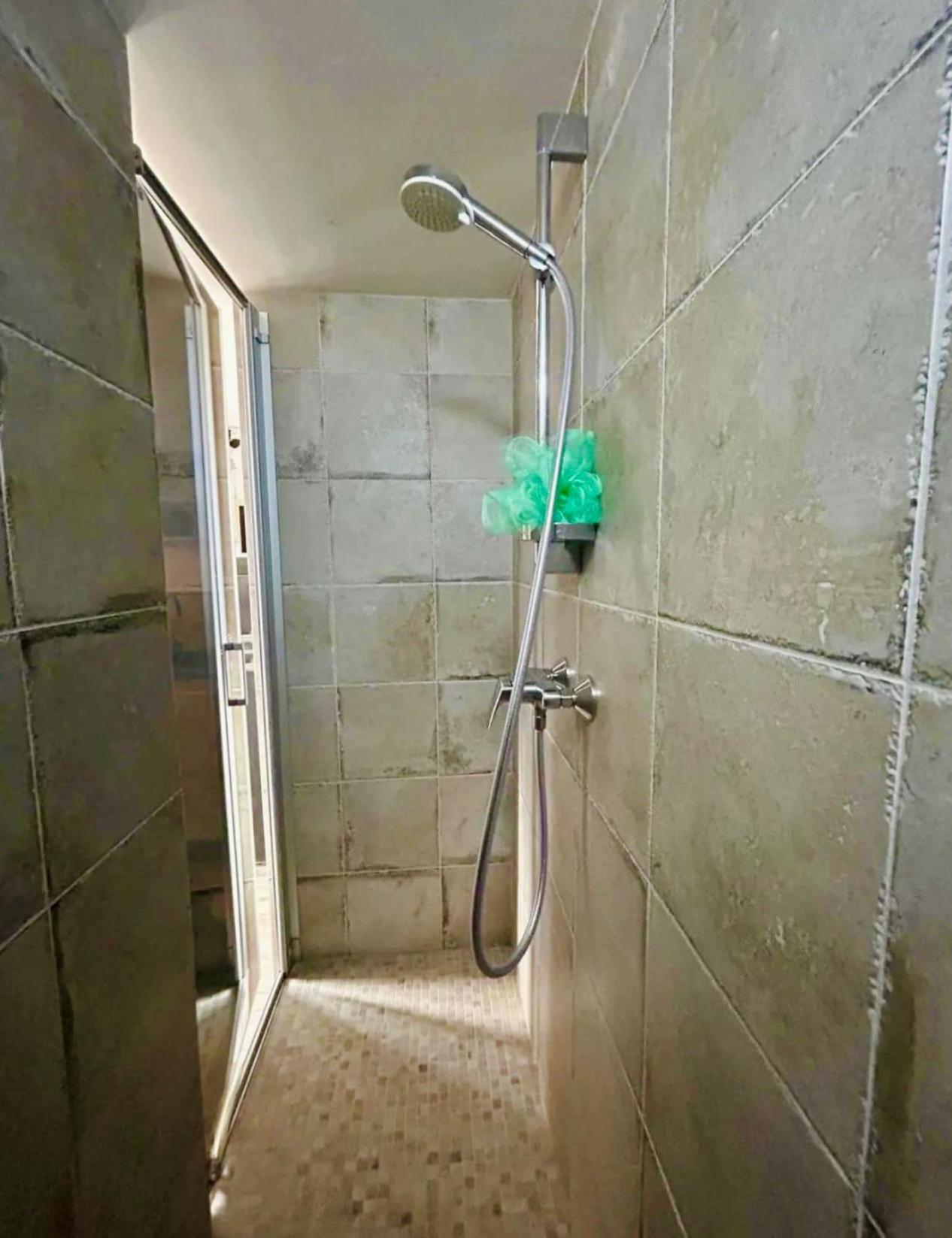 Nid douillet d'Anglet