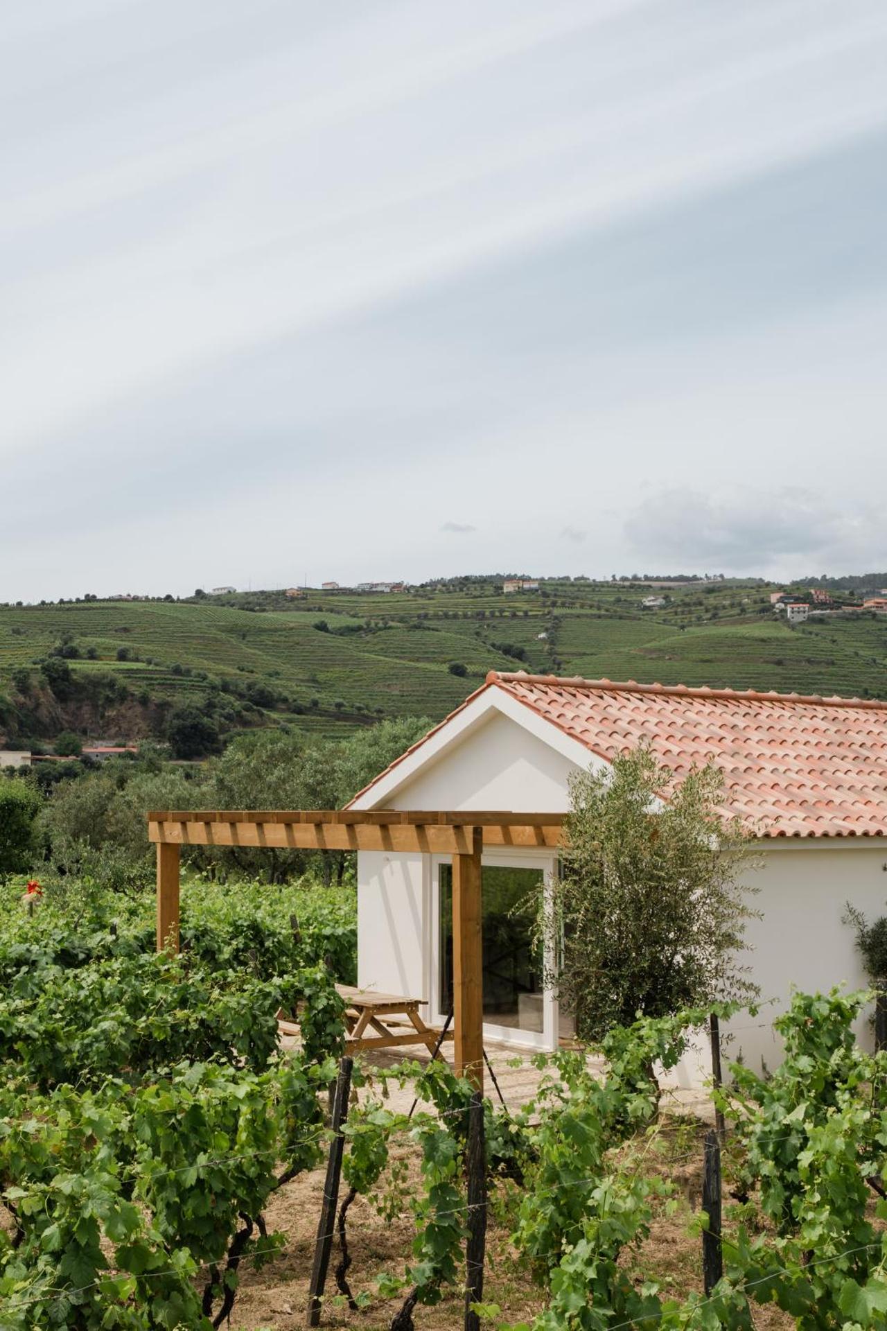 IMAGO Houses - Douro Valley - By MET