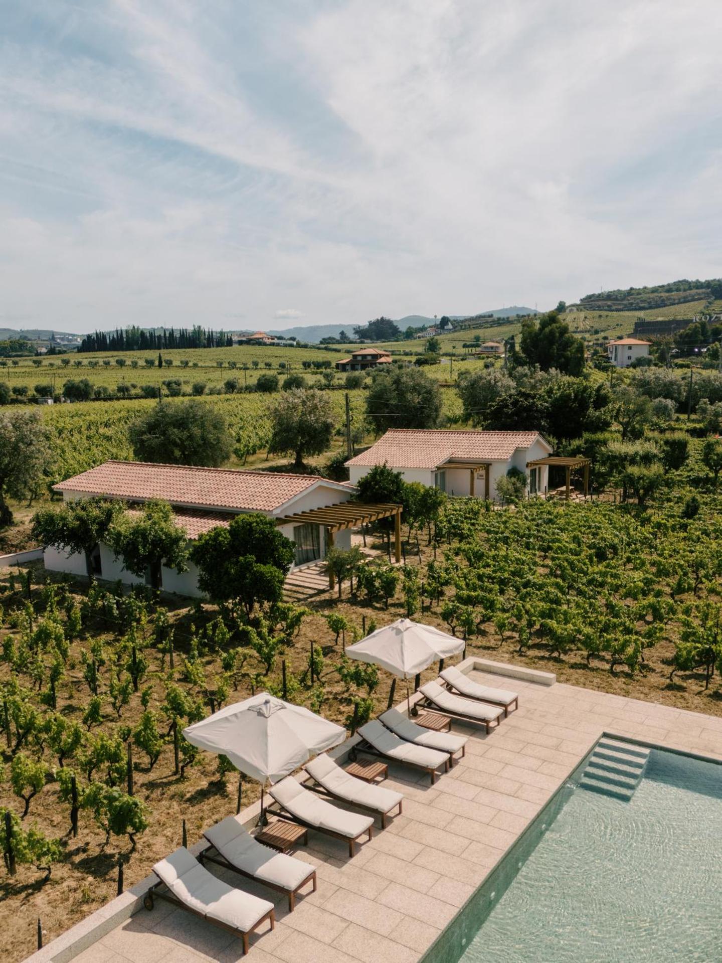 IMAGO Houses - Douro Valley - By MET