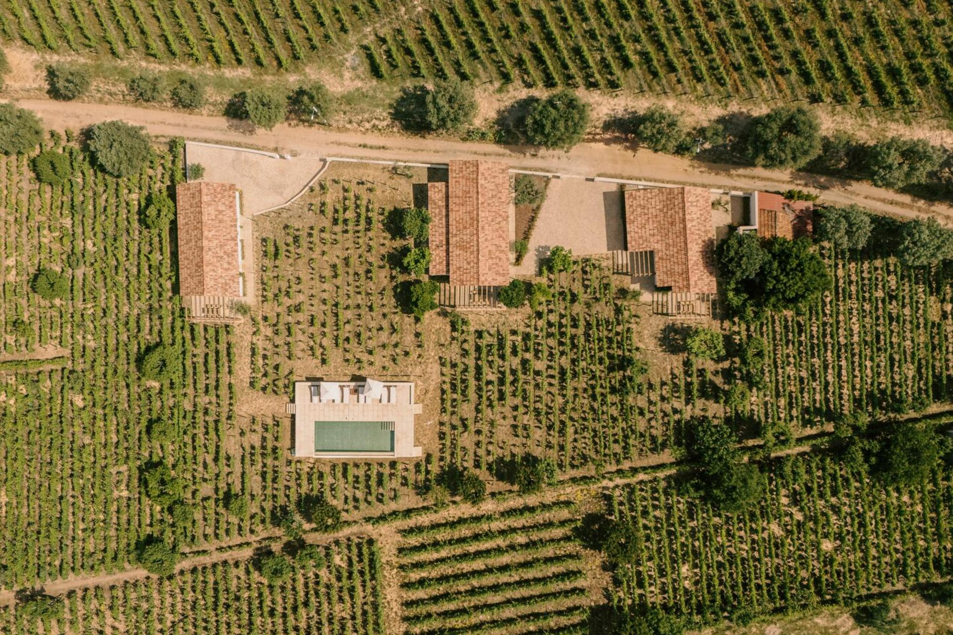 IMAGO Houses - Douro Valley - By MET