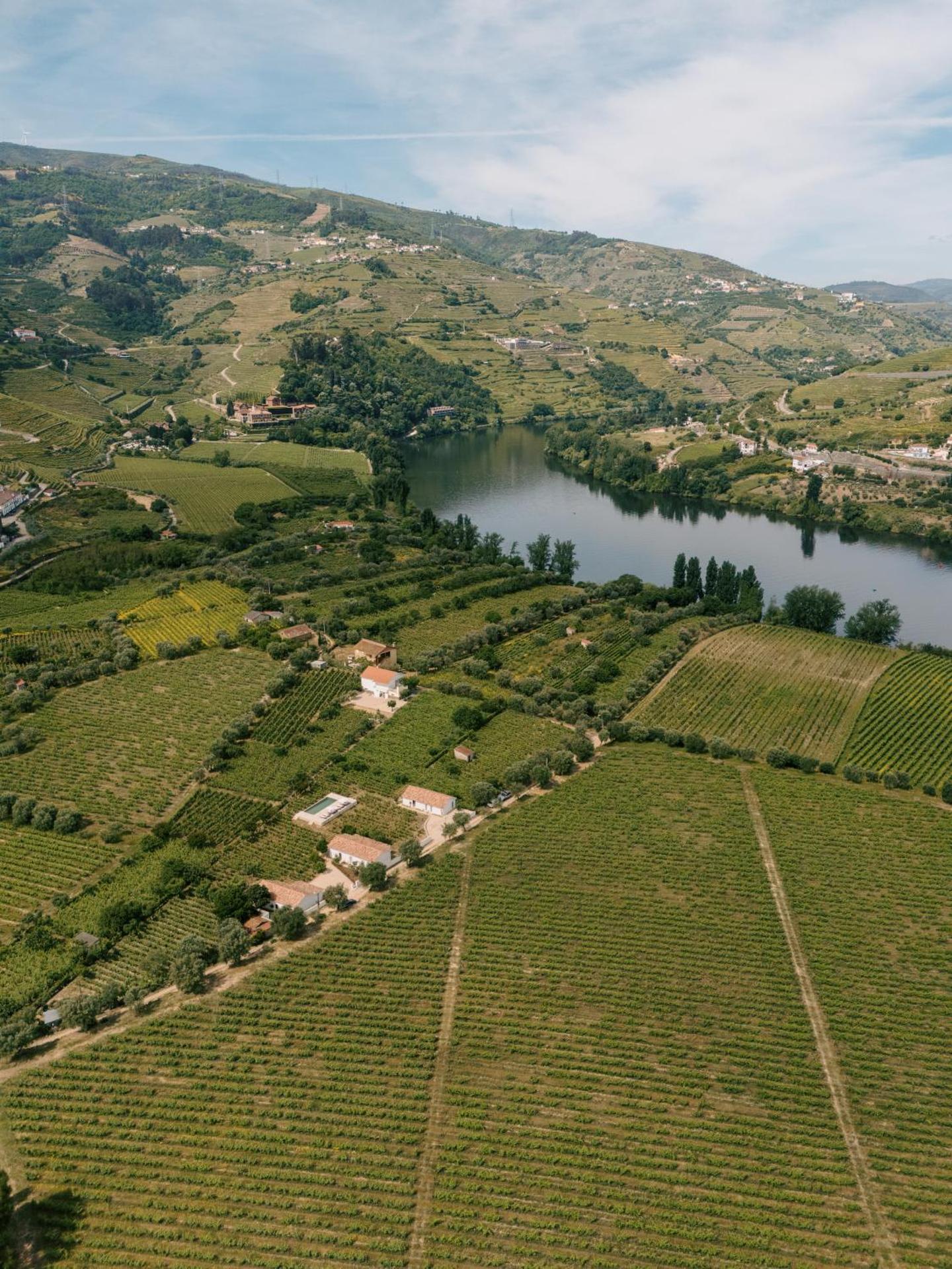 IMAGO Houses - Douro Valley - By MET