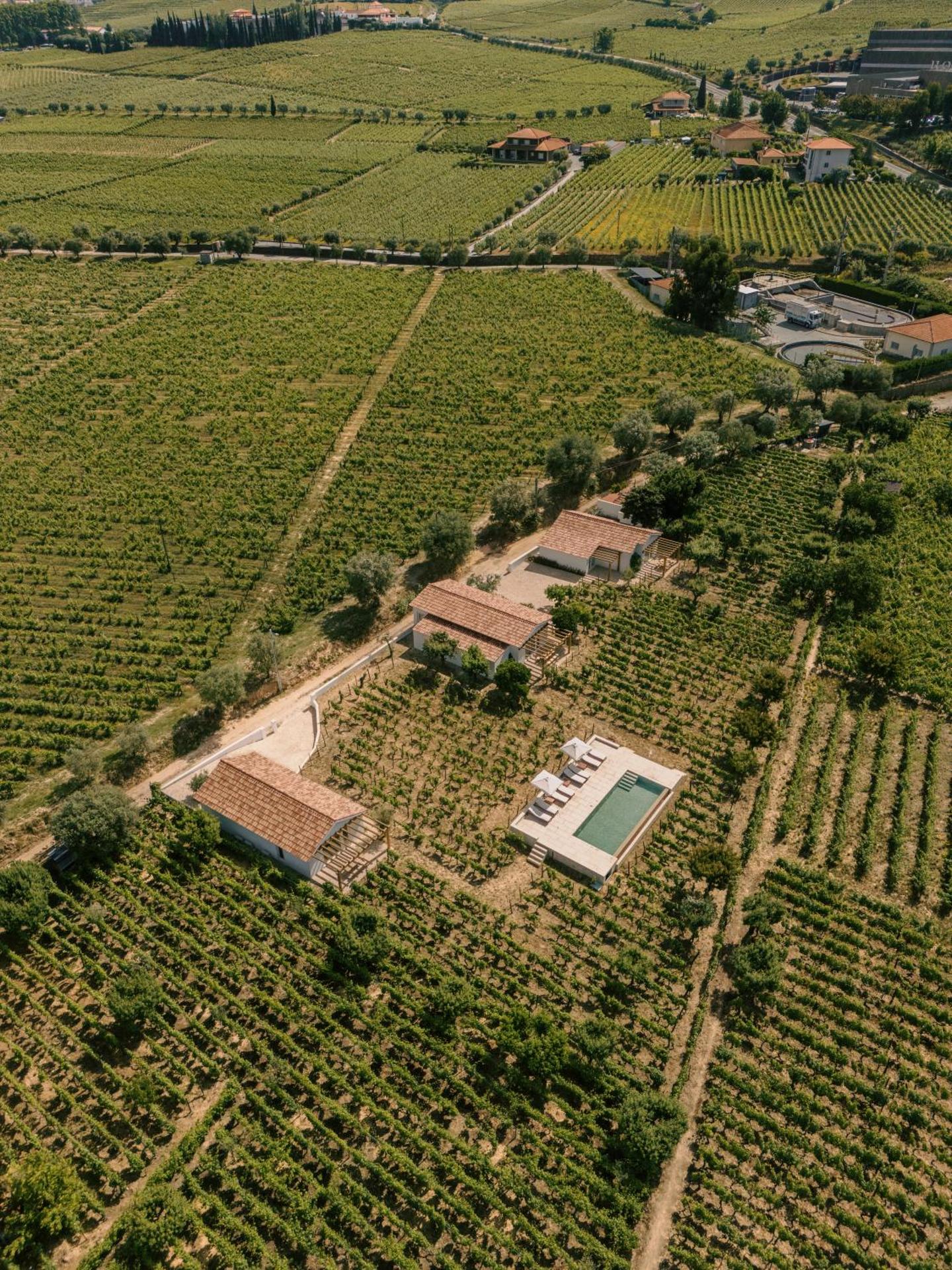 IMAGO Houses - Douro Valley - By MET