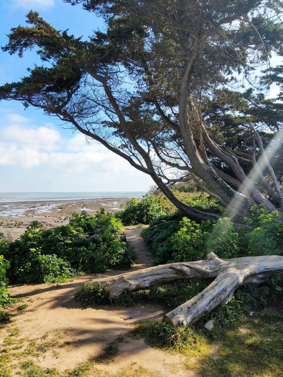 Petit pied-à-terre à Marennes