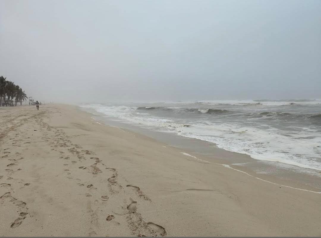 بسمة الدهاريز Basmat Aldahariz