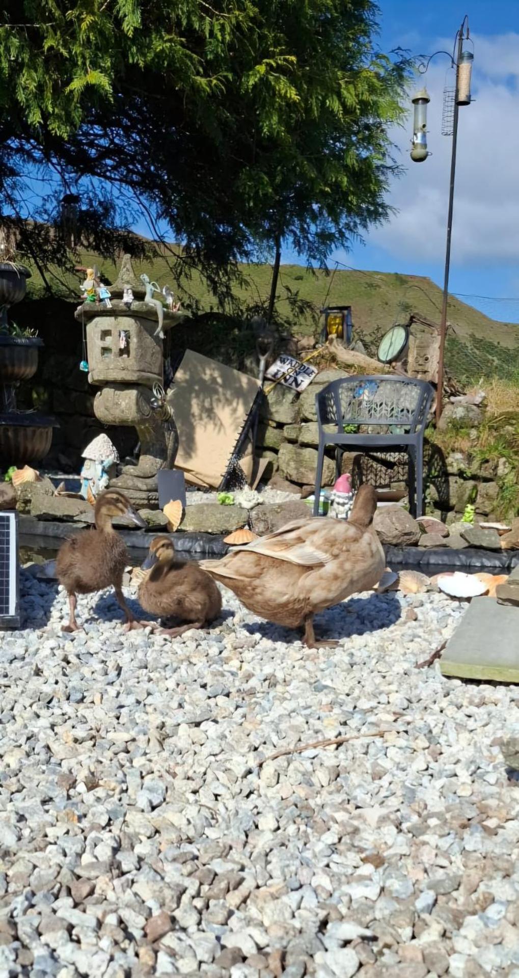 Moonraker Room with a View with ensuite shower room