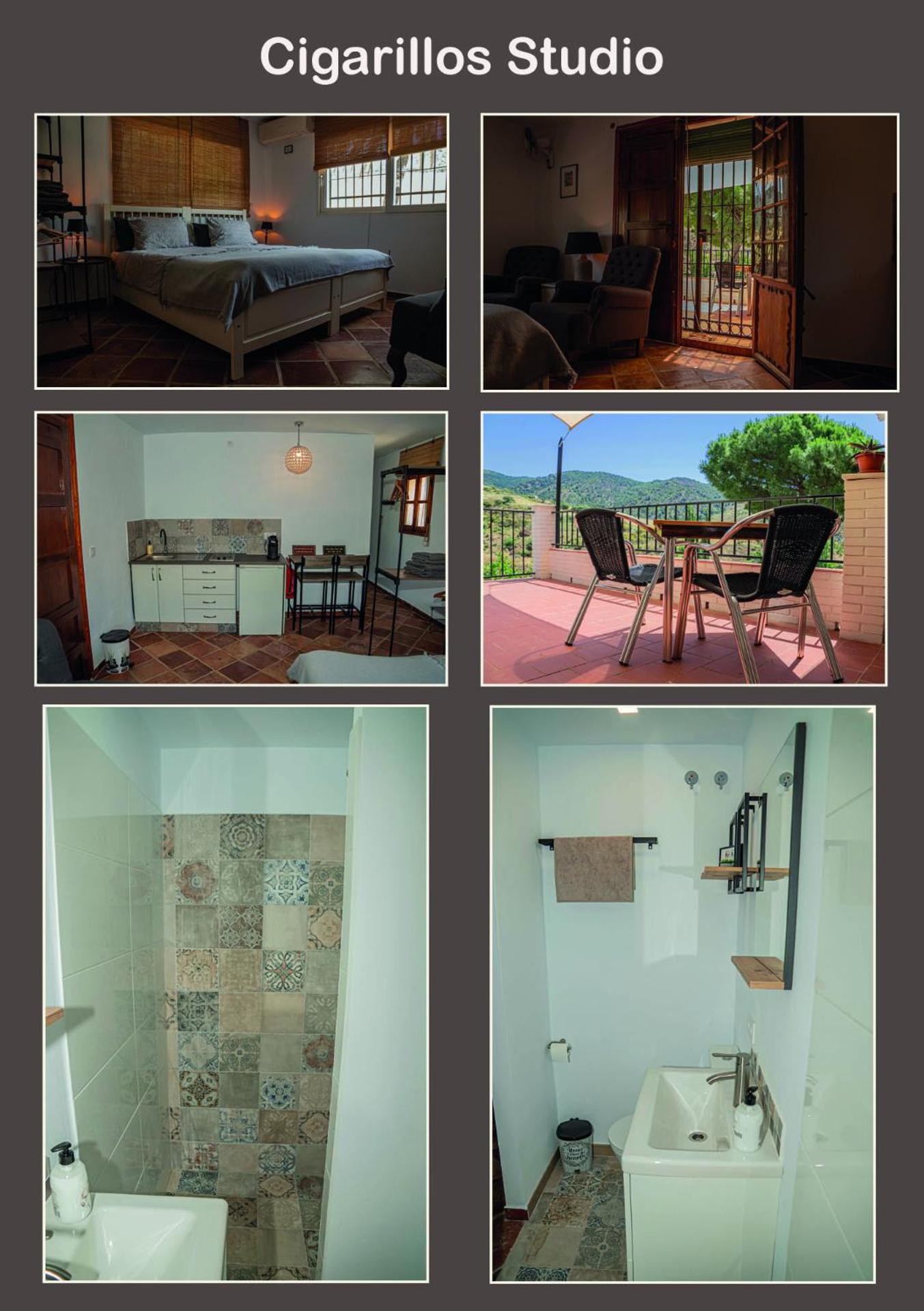 El bufon de la corte