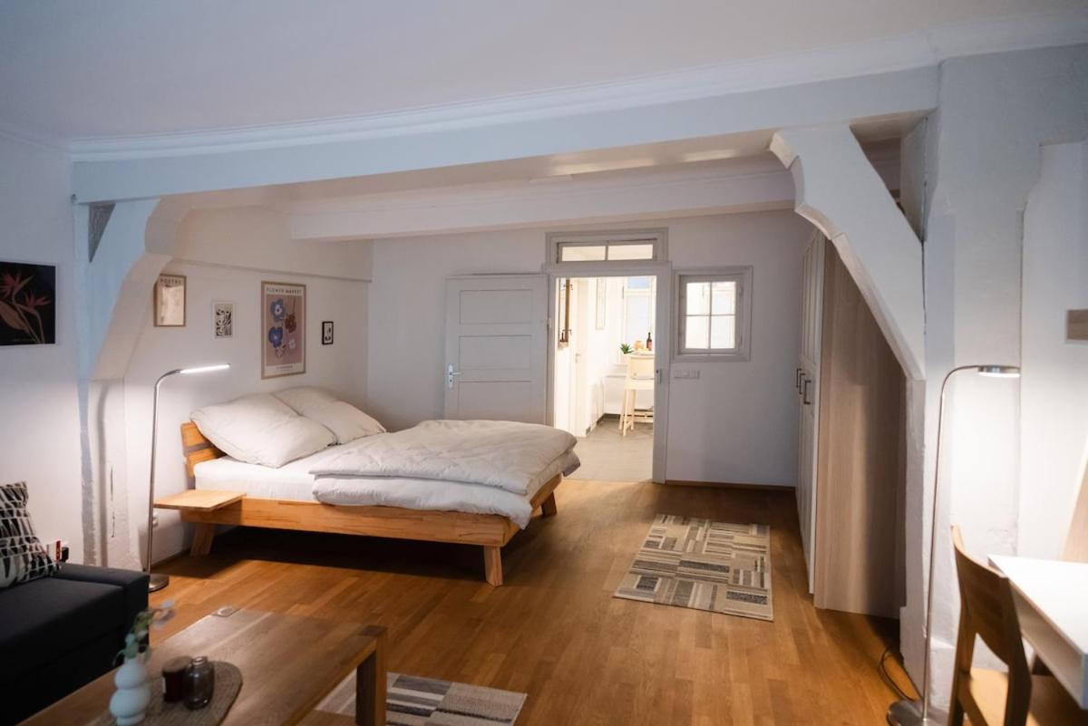 Altbautraum Esslingen Zentrum Studio 09