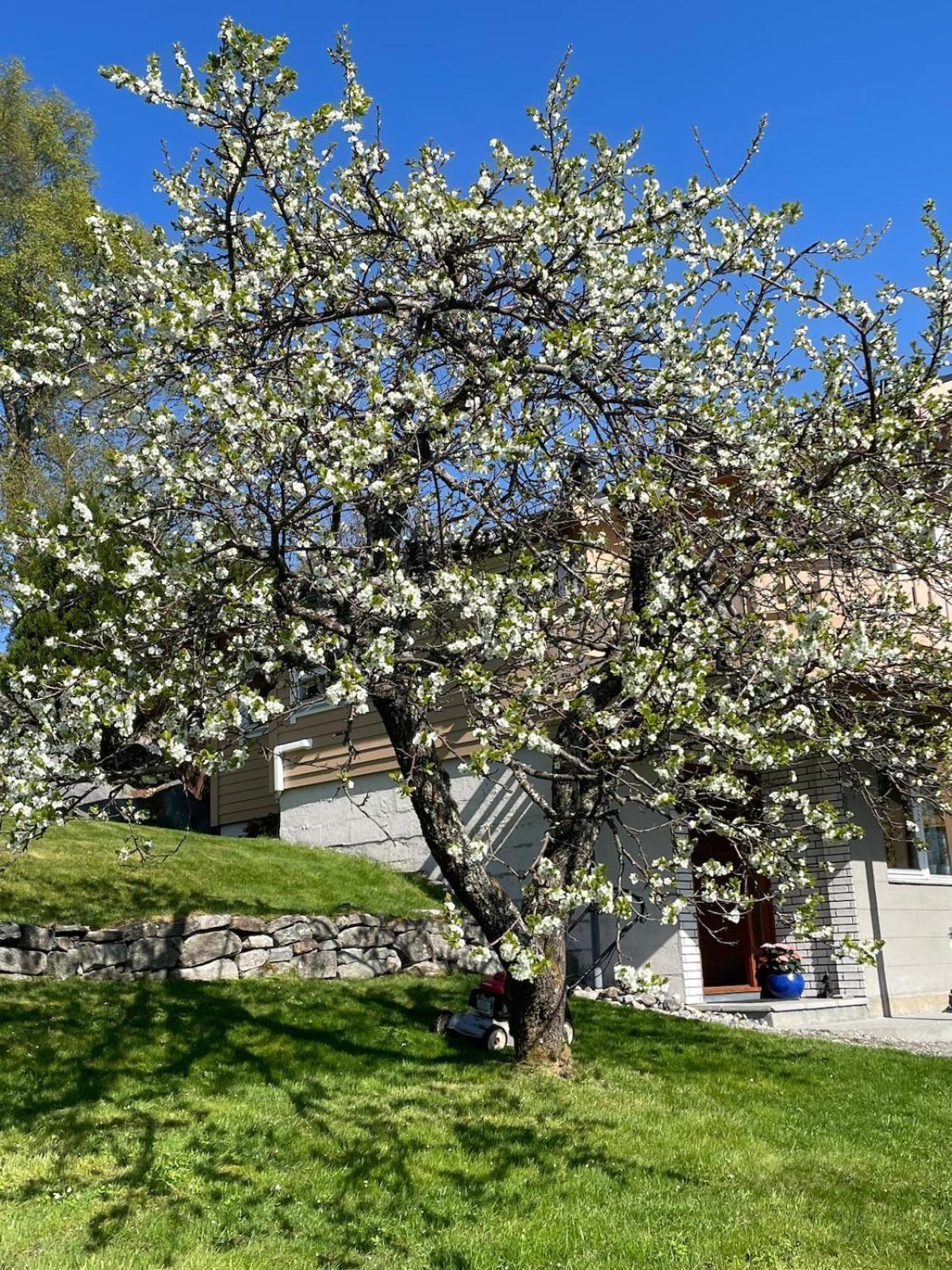 Retro hus med fin beliggenhet