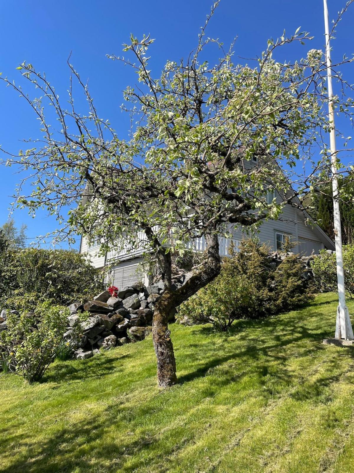 Retro hus med fin beliggenhet