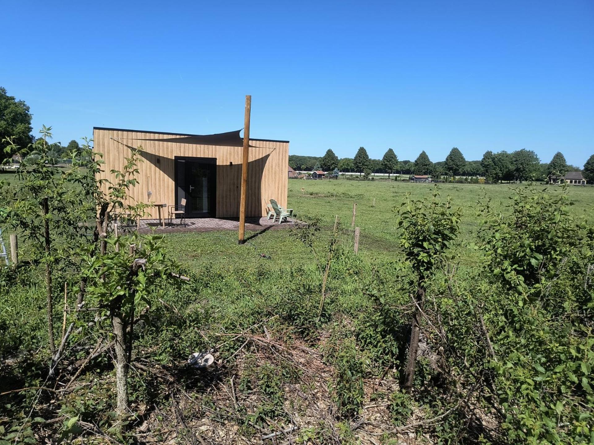 Natuurhuisje 't Hoogbos - Bosrand