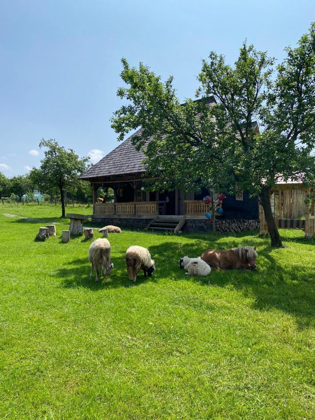 Casuța din Grădină