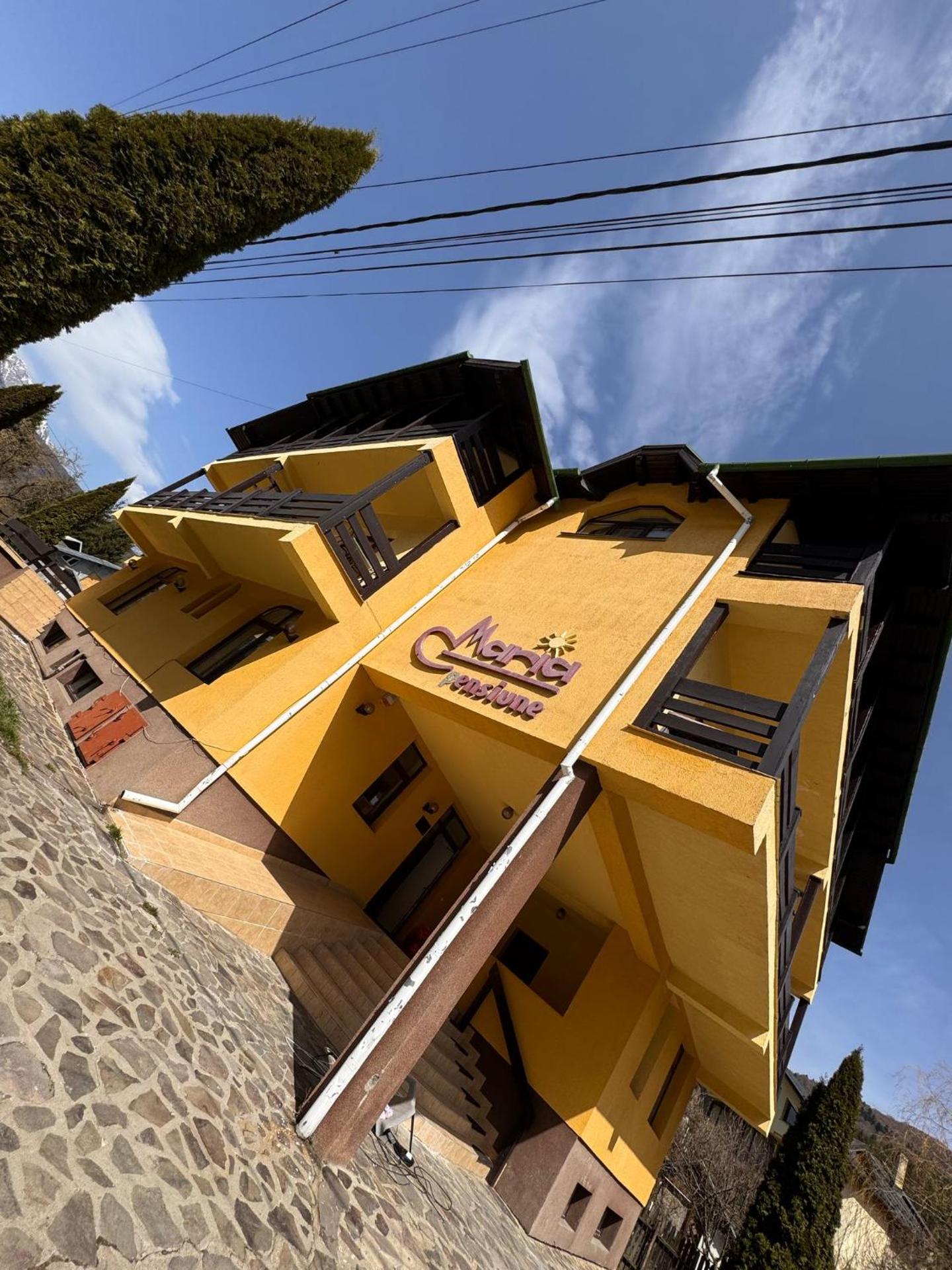 Casa Maria Azuga by Genco