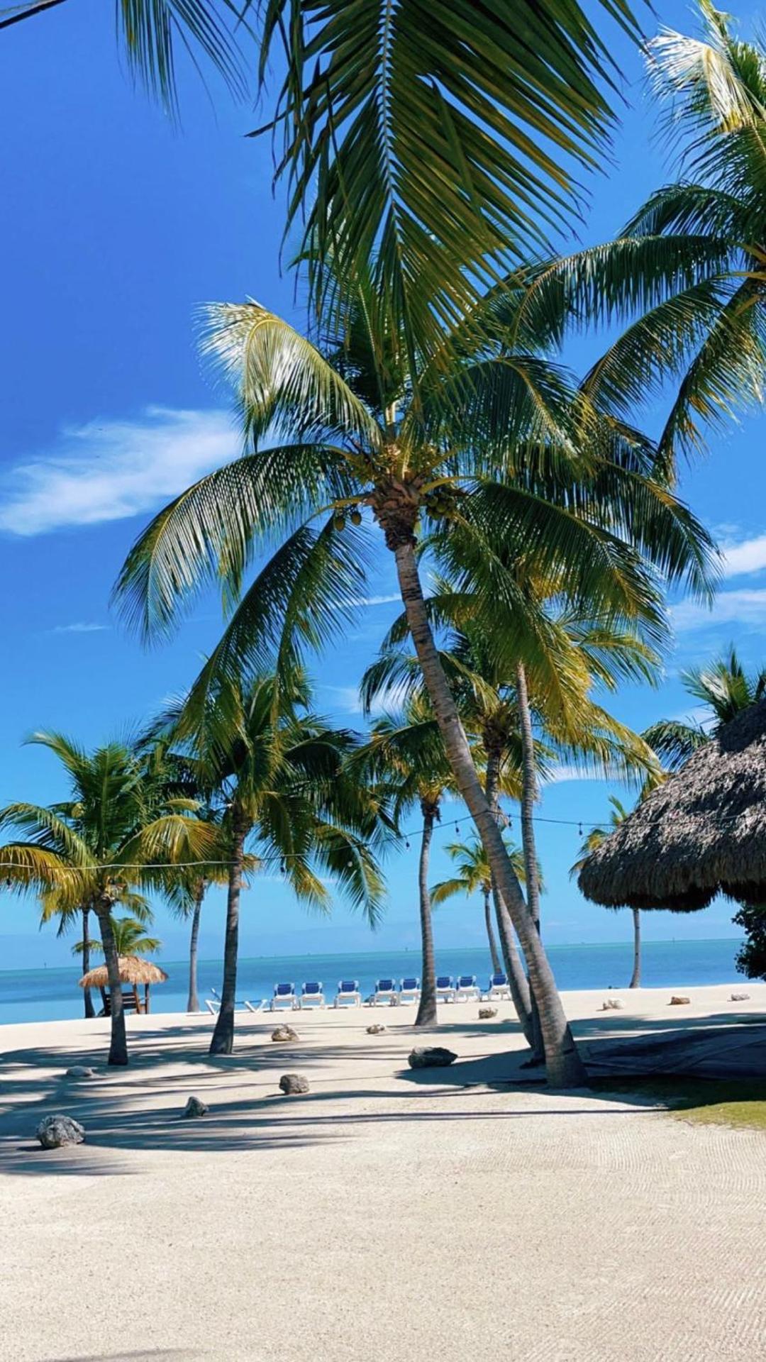 Coconut Cove Resort & Marina