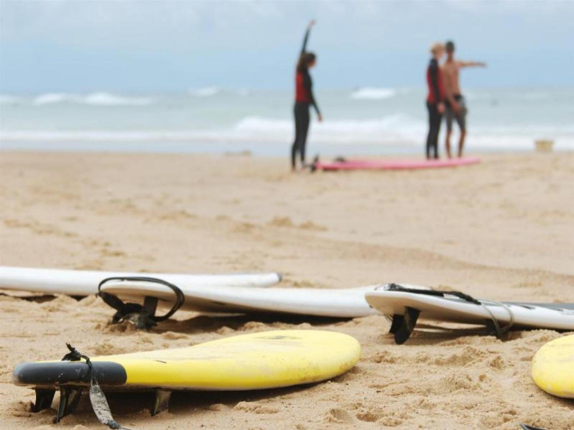Maison moderne entre forêt et océan, avec jardin et terrasse. - FR-1-239-425