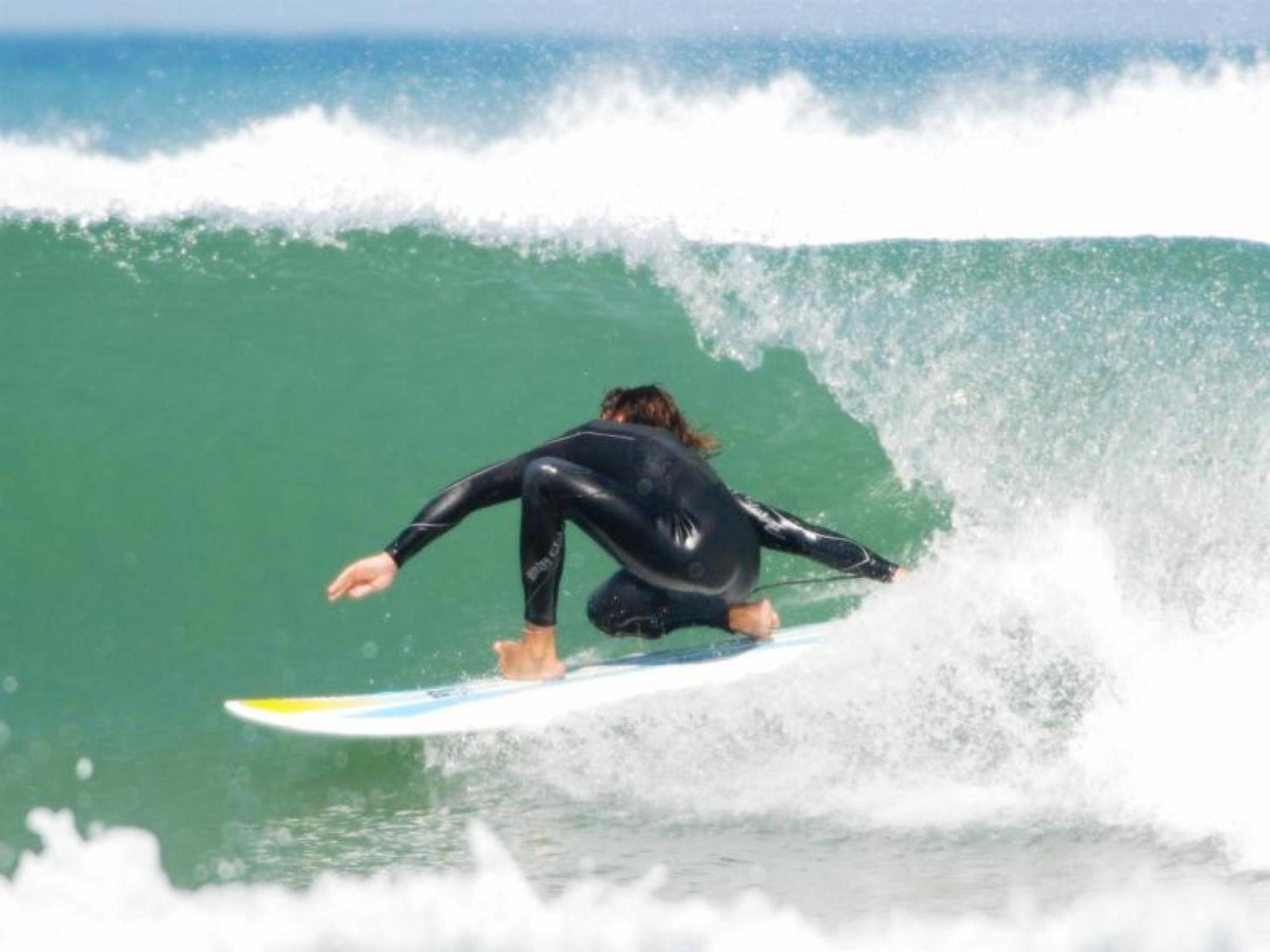 Maison moderne entre forêt et océan, avec jardin et terrasse. - FR-1-239-425