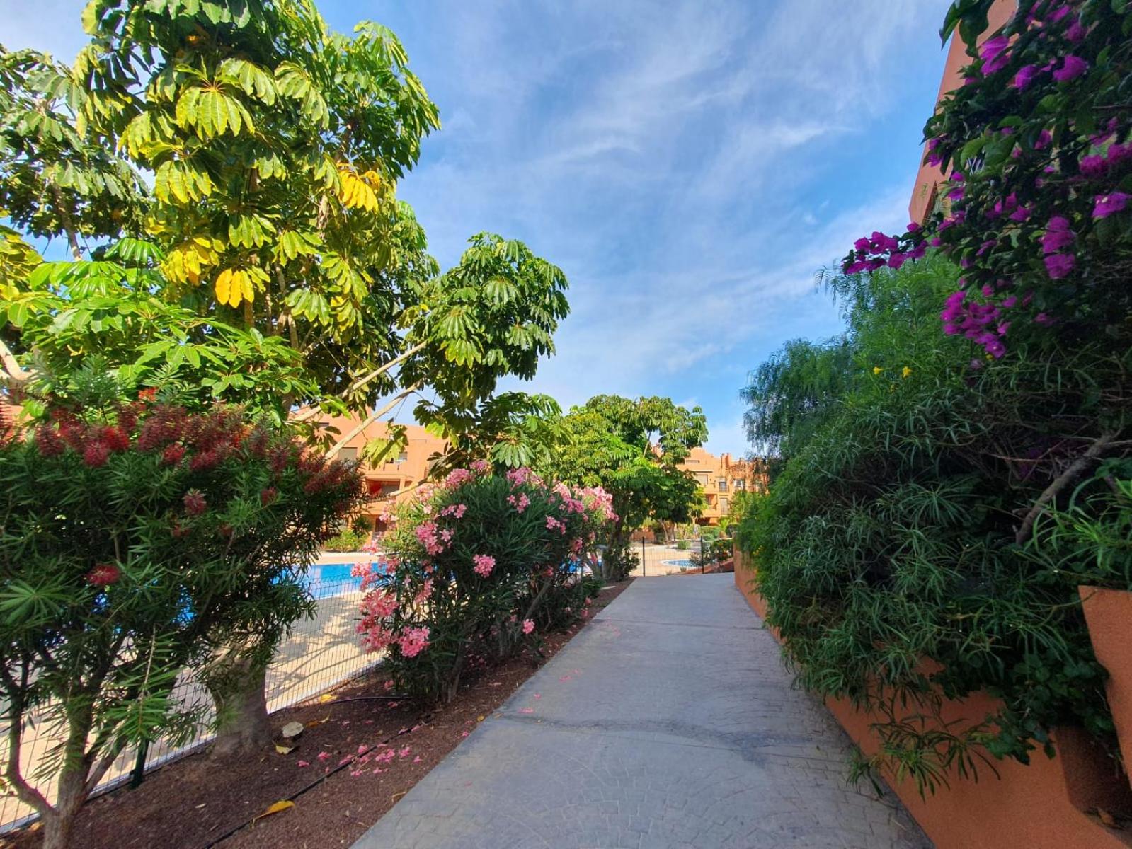 Sotavento Tejita, terrace and beach