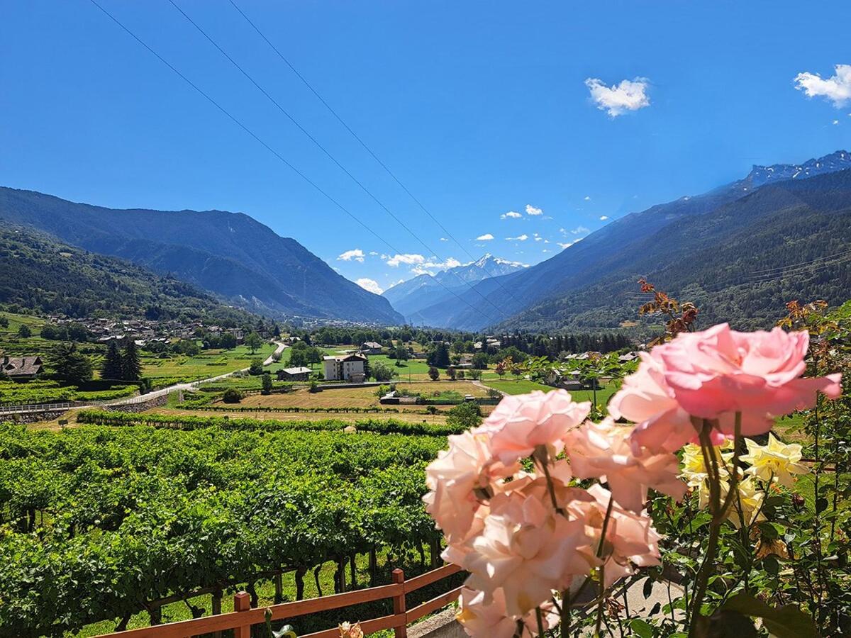 Una vetrina su Morgex