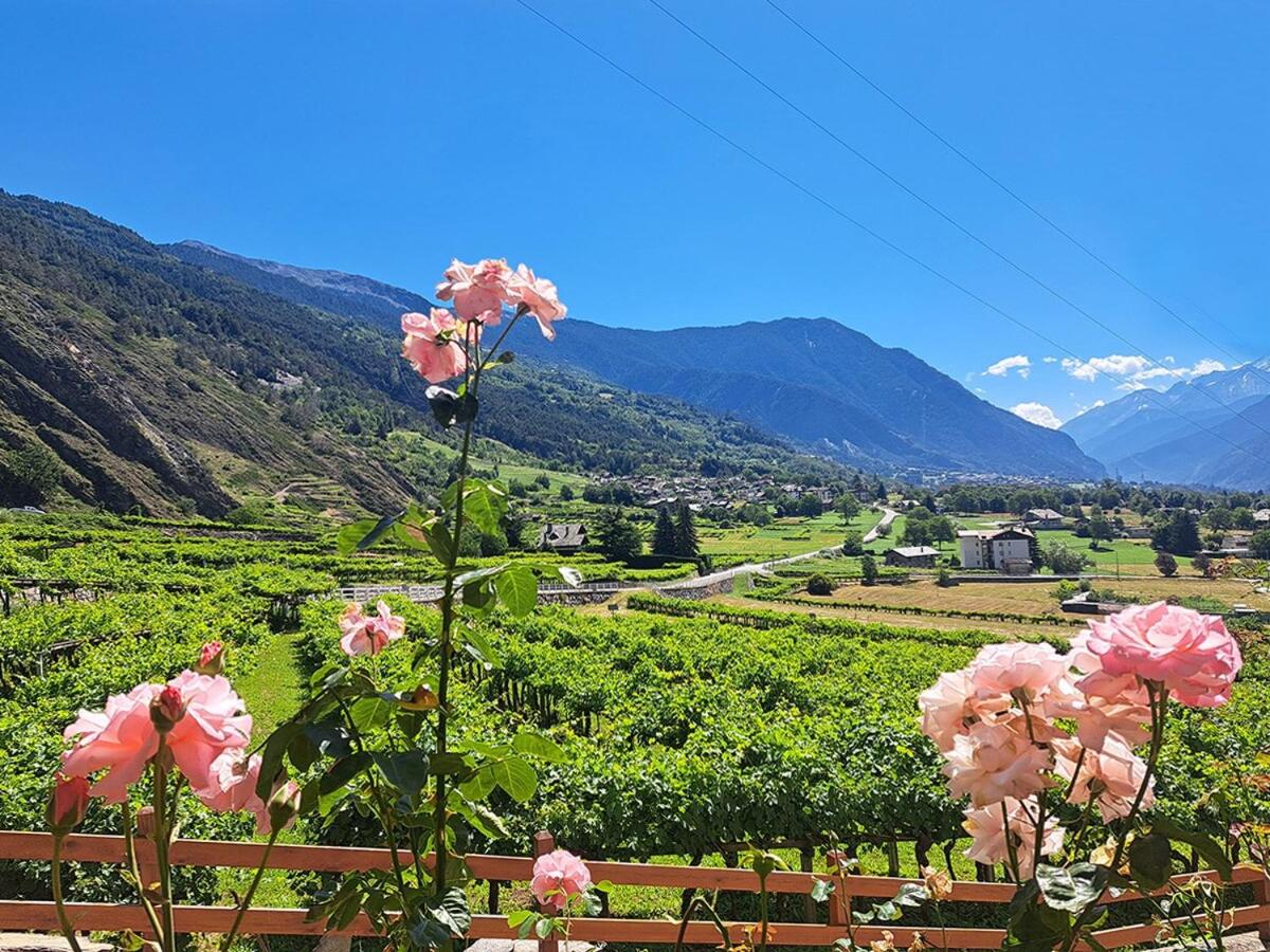 Una vetrina su Morgex