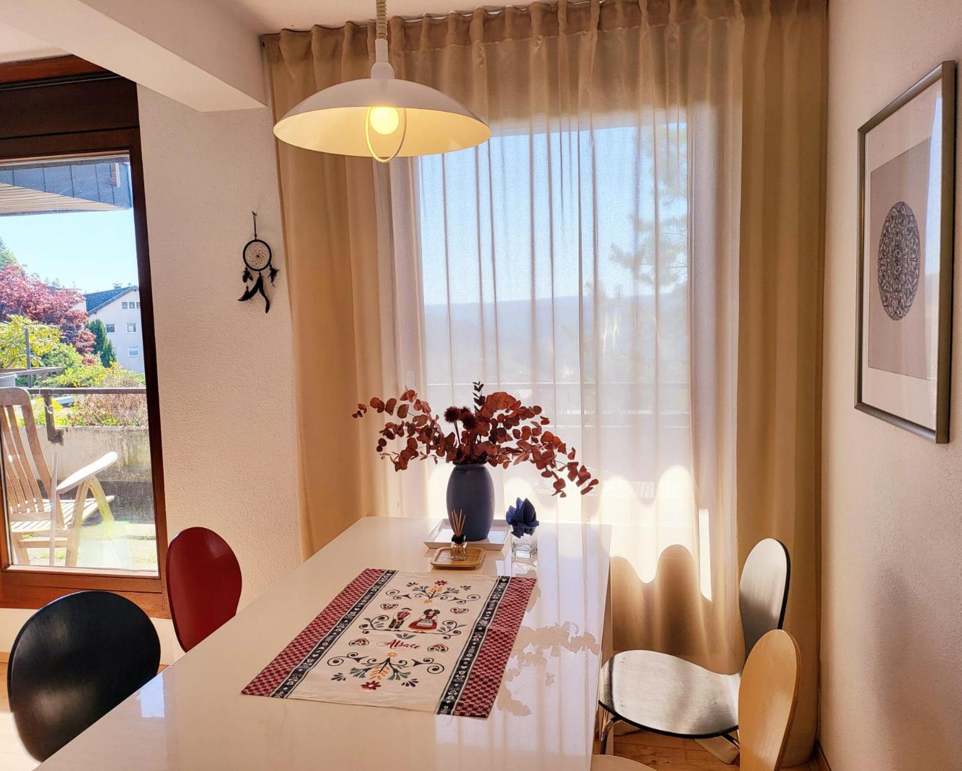 Schonach mountain-Top, forest, free parking, new kitchen, high-speed internet