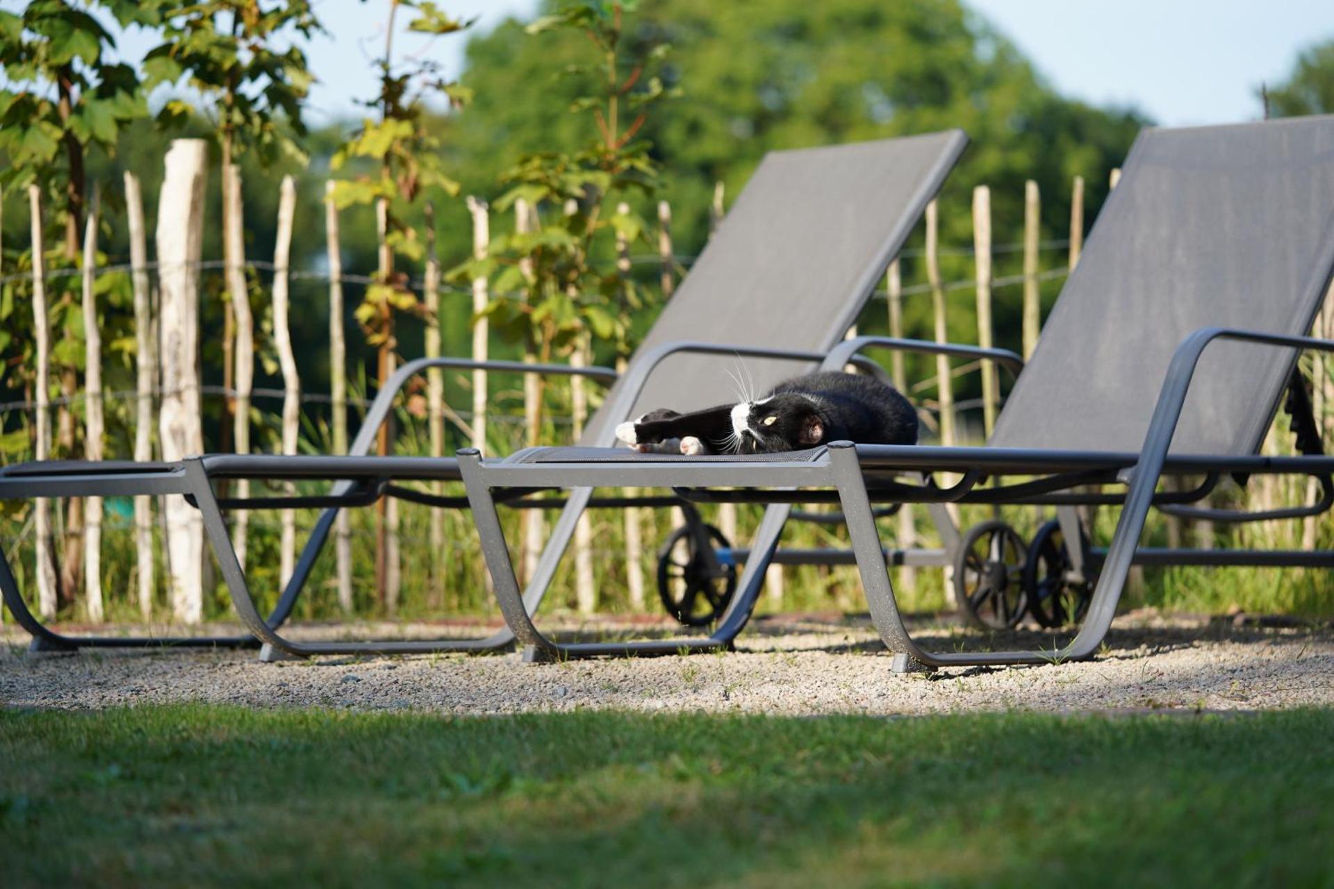 Traumkrone Ferienwohnungen - Abendrot