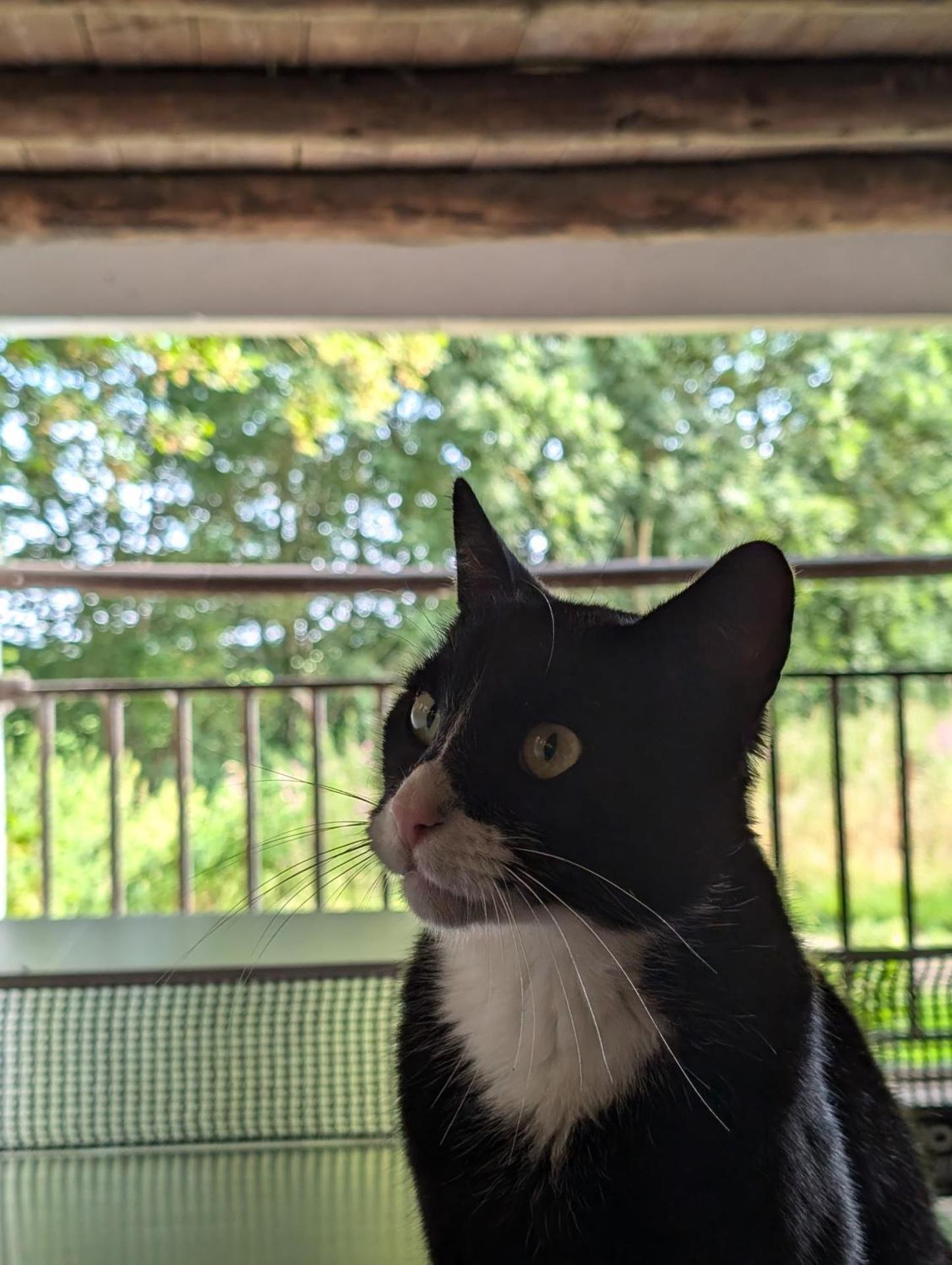 Traumkrone Ferienwohnungen - Abendrot