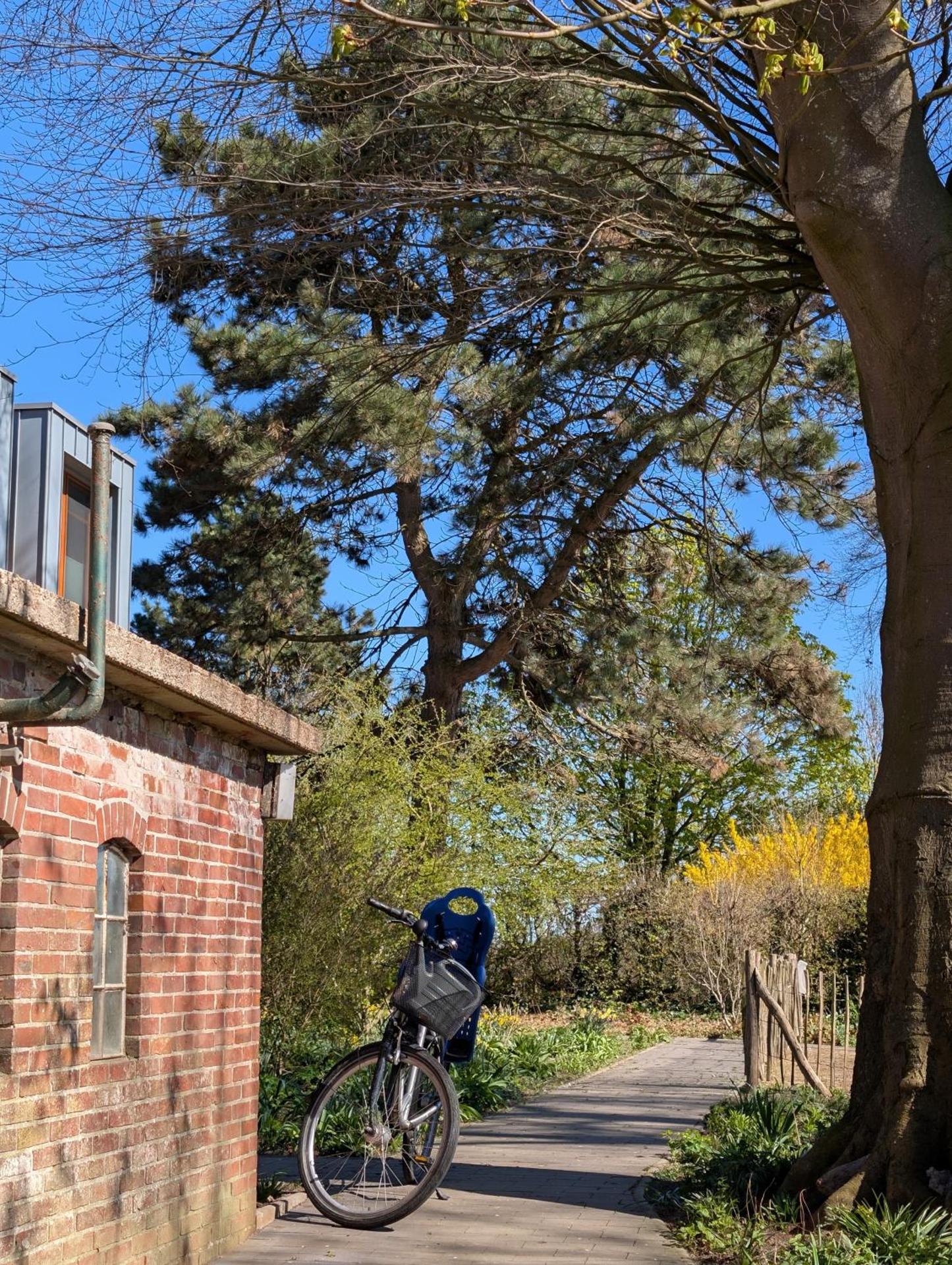 Traumkrone Ferienwohnungen - Abendrot