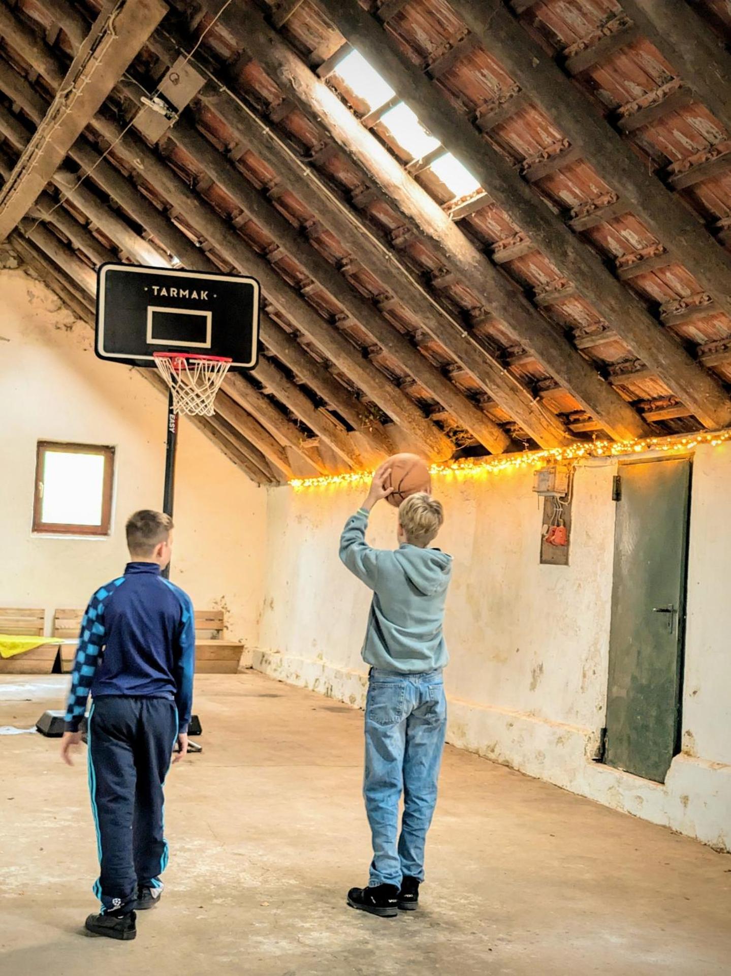 Traumkrone Ferienwohnungen - Wiesengrün