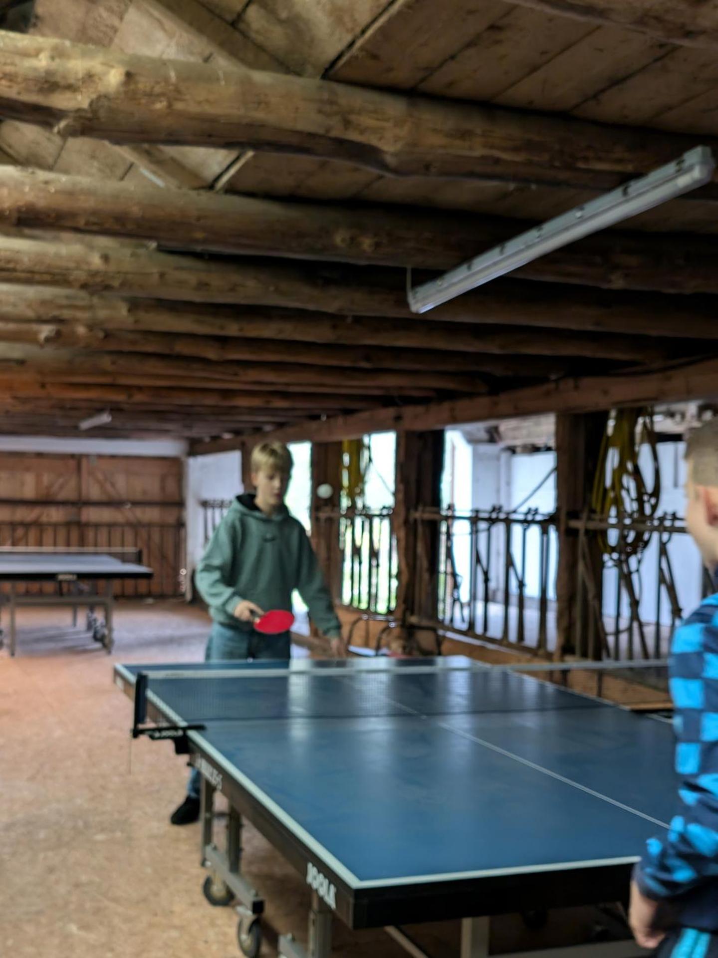 Traumkrone Ferienwohnungen - Wiesengrün