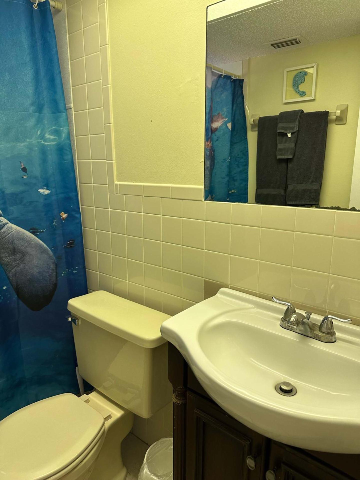 Professor Rousseau's Manatee Bay