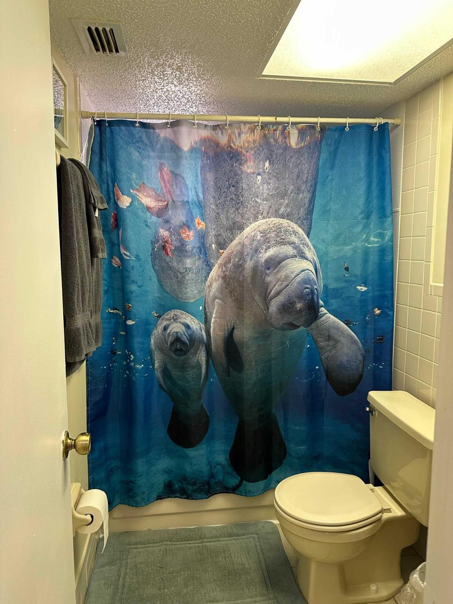 Professor Rousseau's Manatee Bay