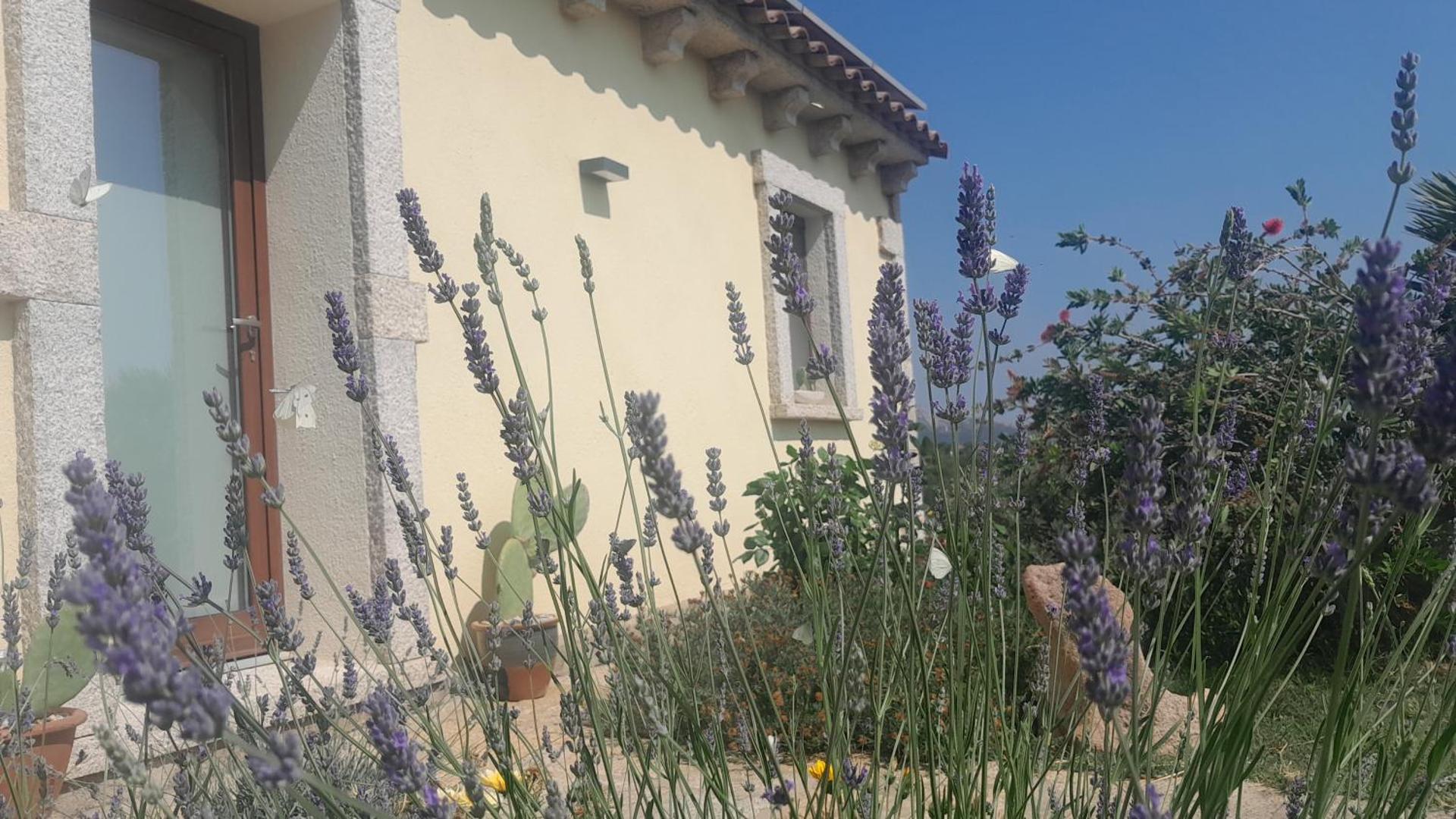 Dependance Pavoncella