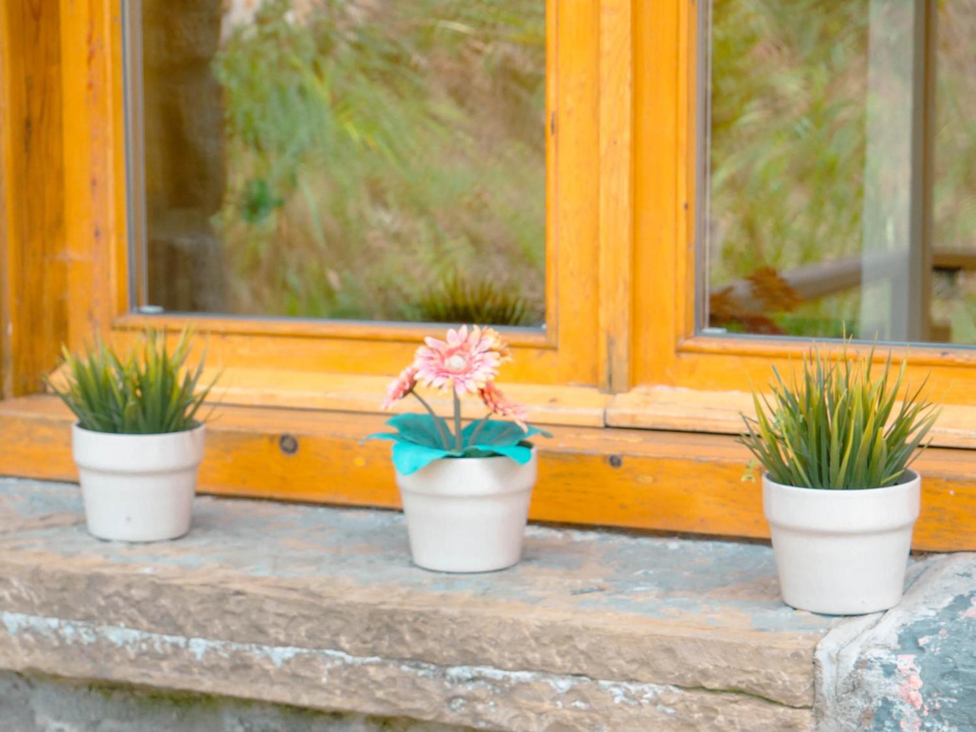 Els Apartaments del bosc