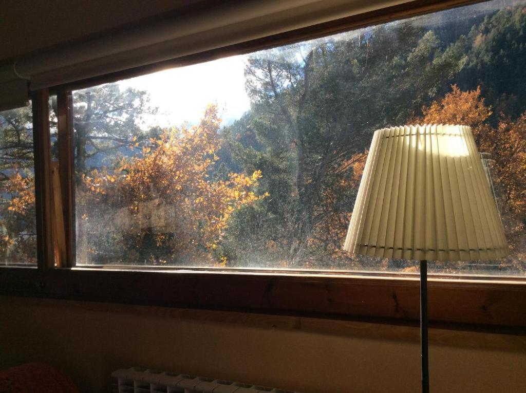 Els Apartaments del bosc