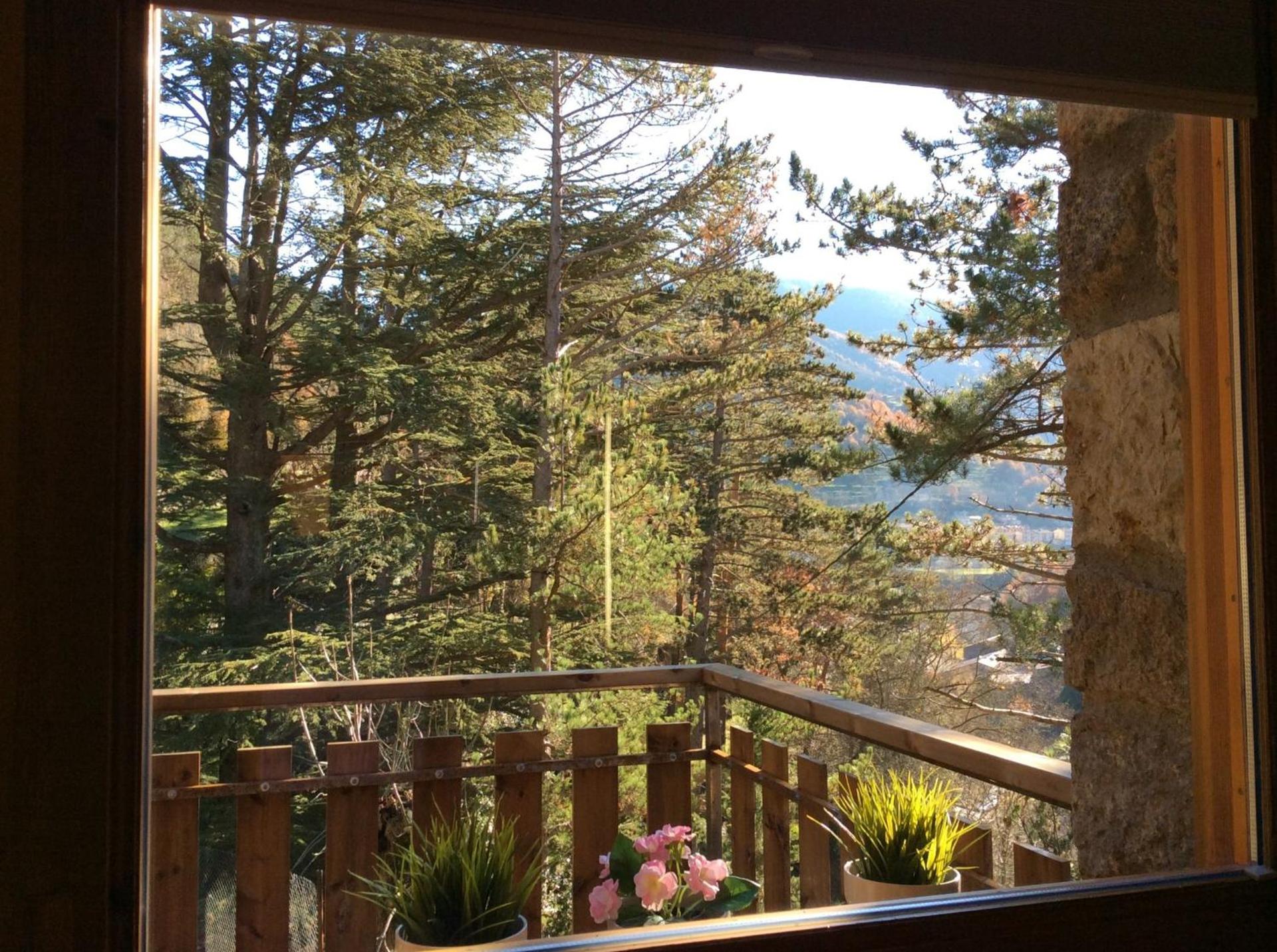 Els Apartaments del bosc