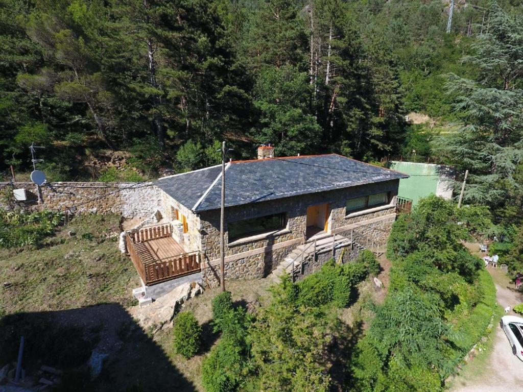 Els Apartaments del bosc
