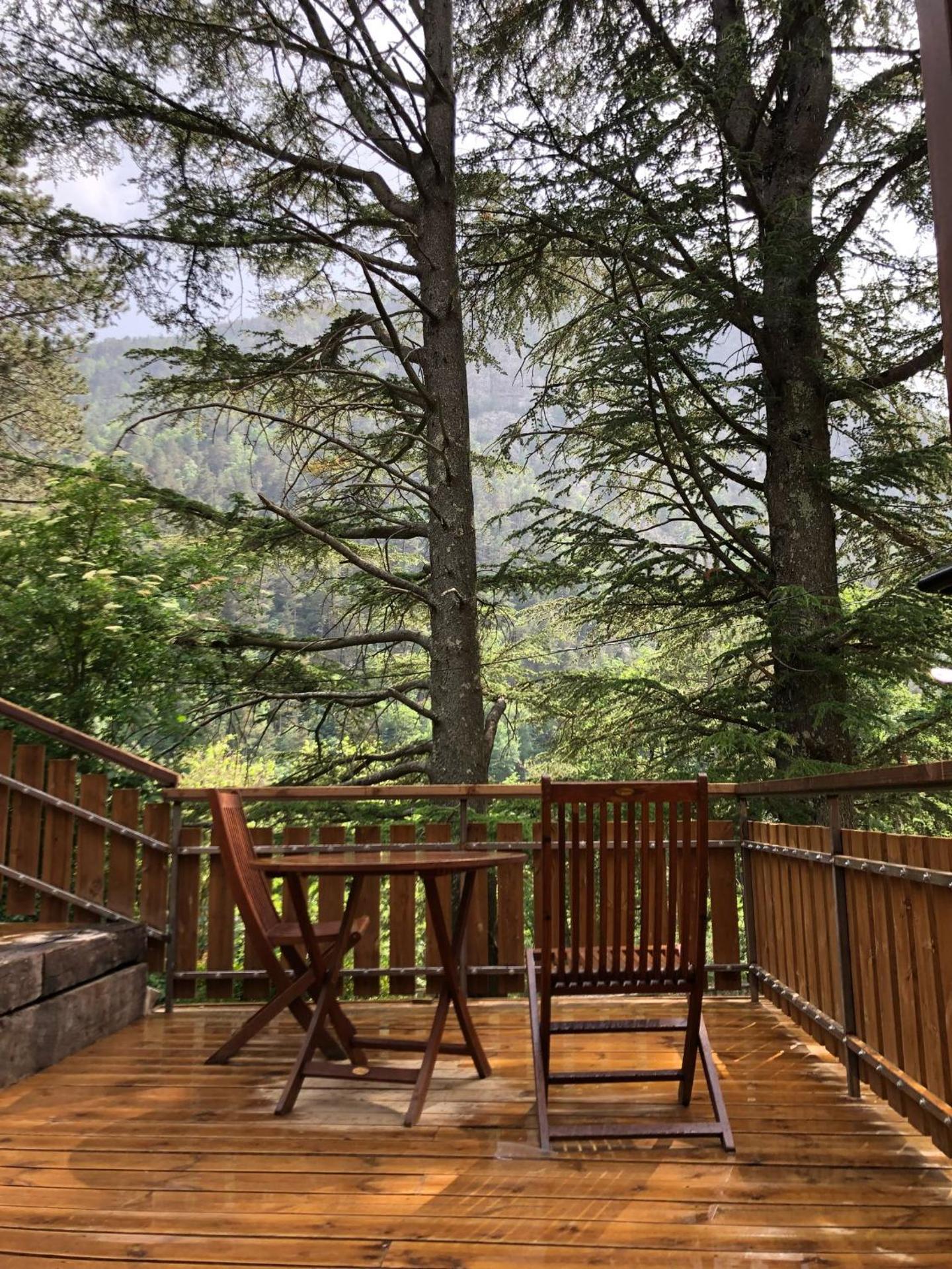 La cabana - Els Apartaments del bosc